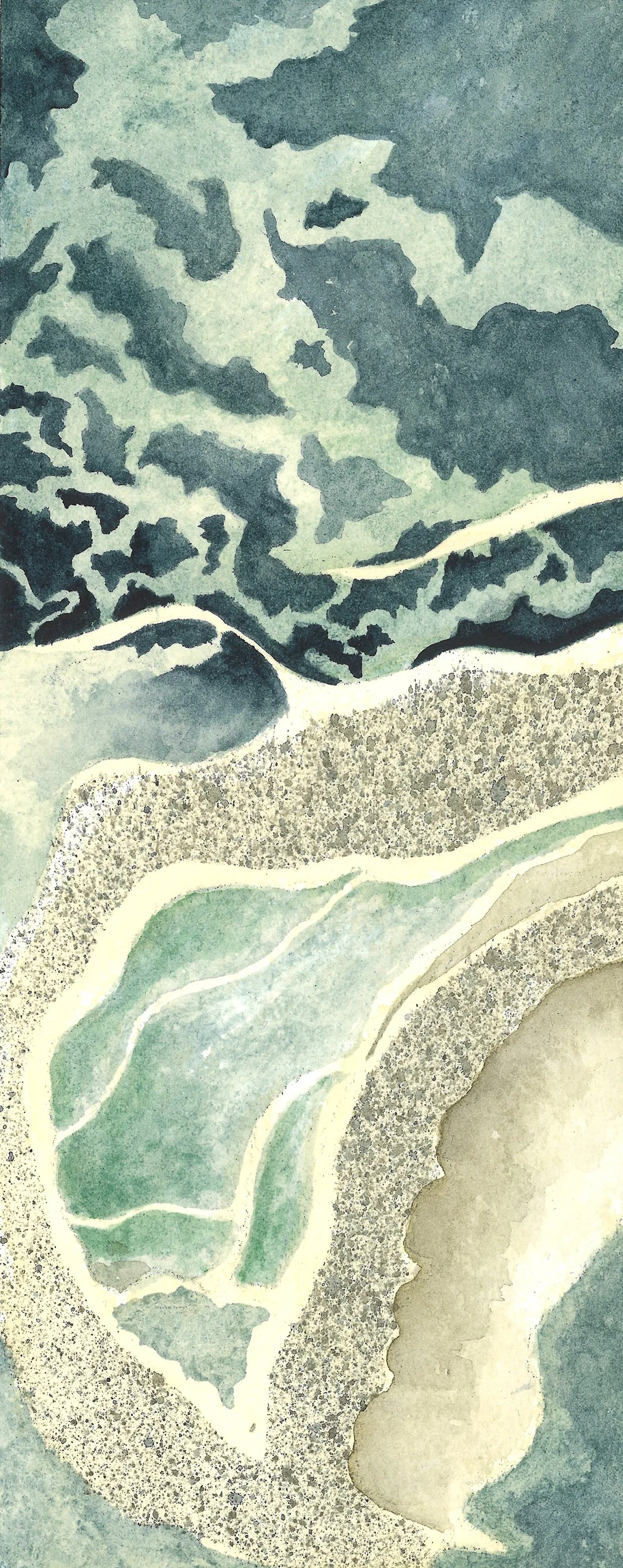 Île Stuan, shell on the beach