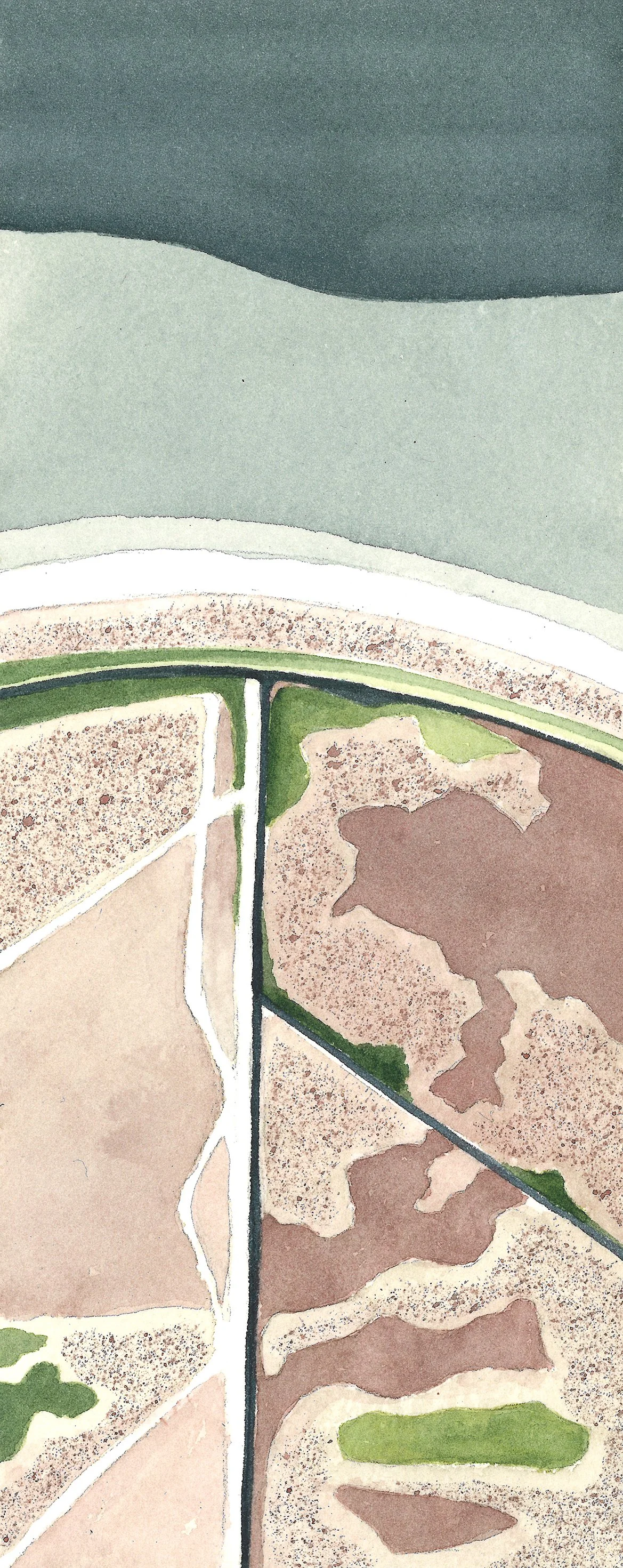 ##6 Kavelbold fælled, windswept wetland