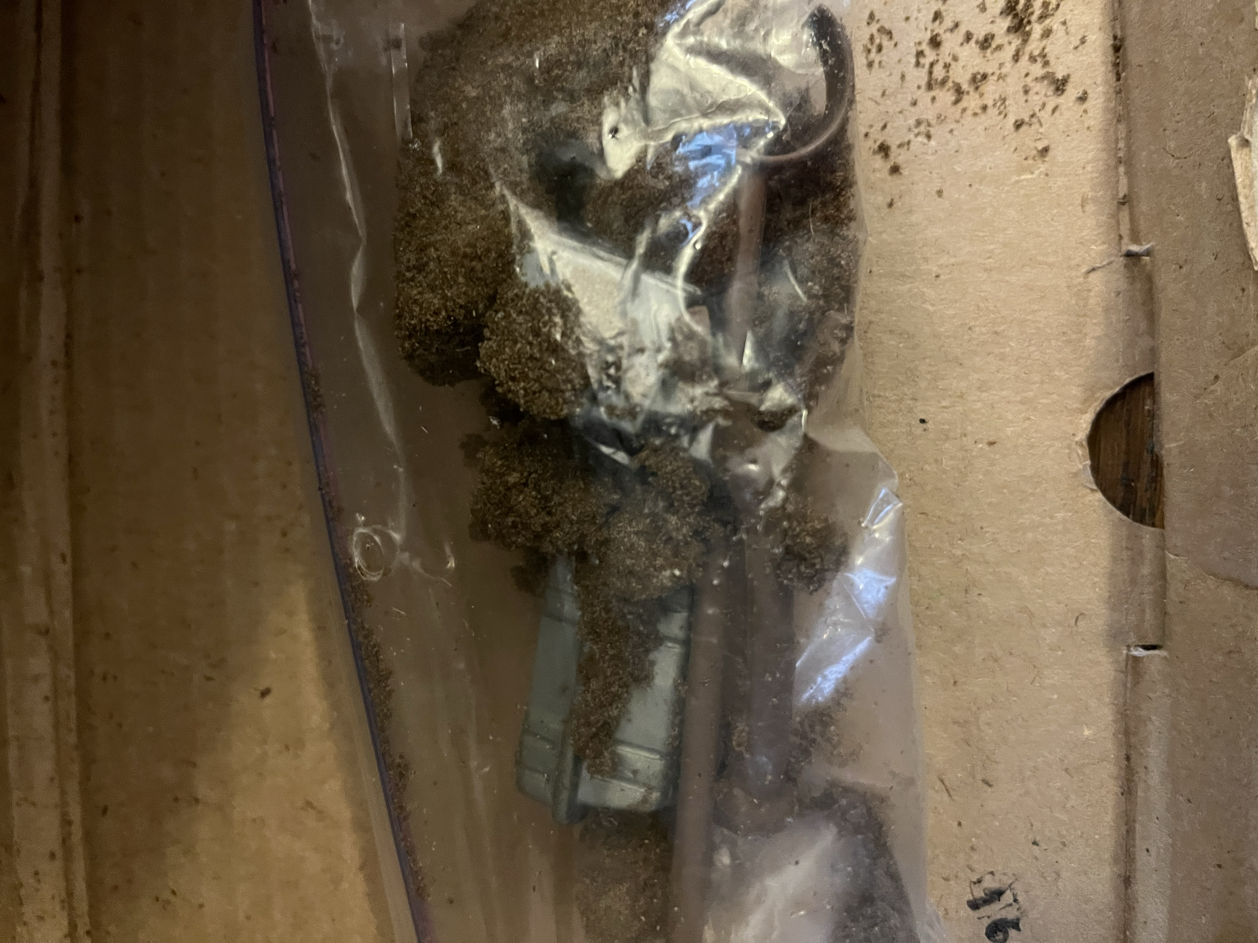 The image shows a plastic bag with what appears to be soil or dirt inside, placed on a cardboard surface. There are small indentations and scattered dirt around the bag.