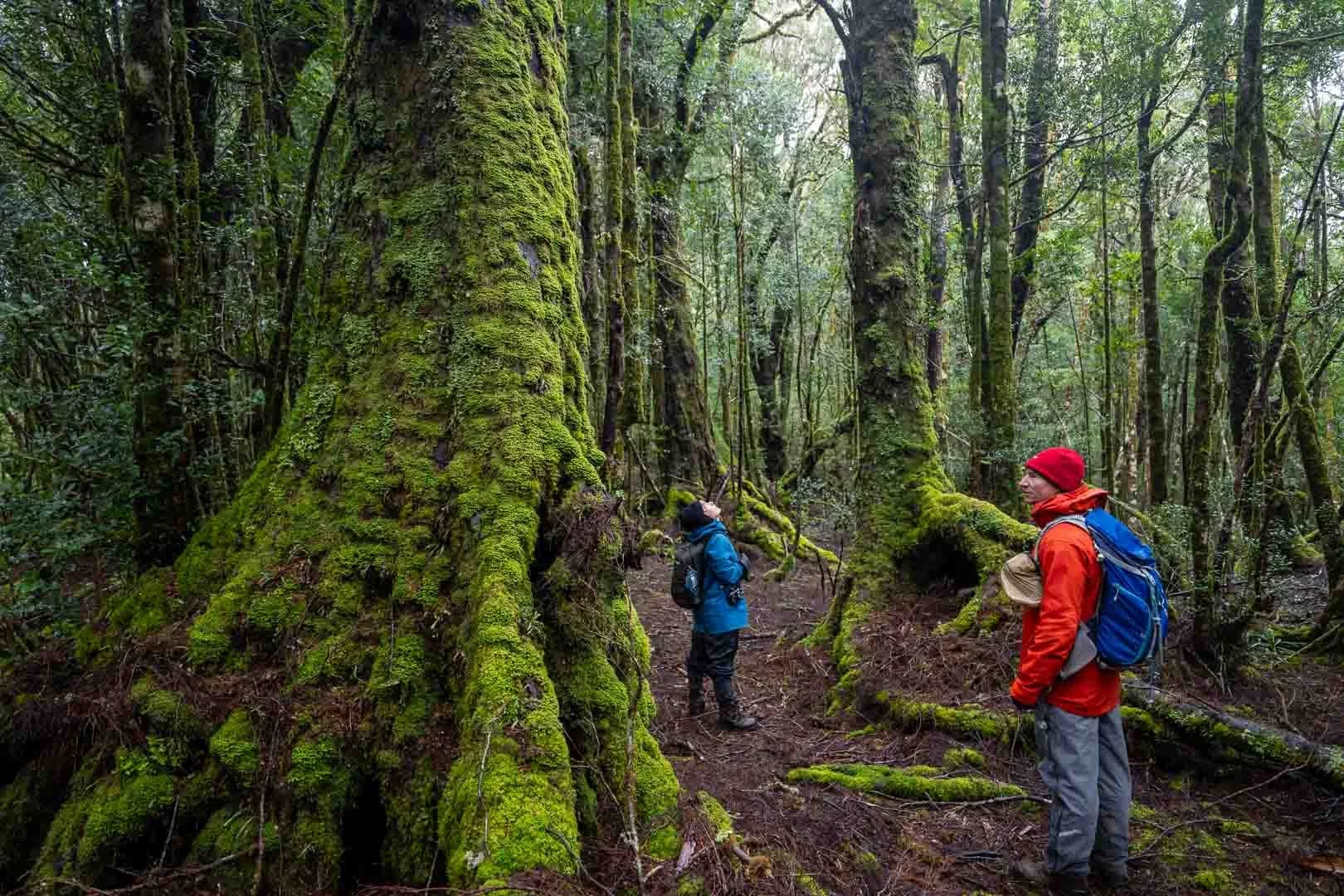 Tasmanian Photography Tours - Group Images-13.jpg