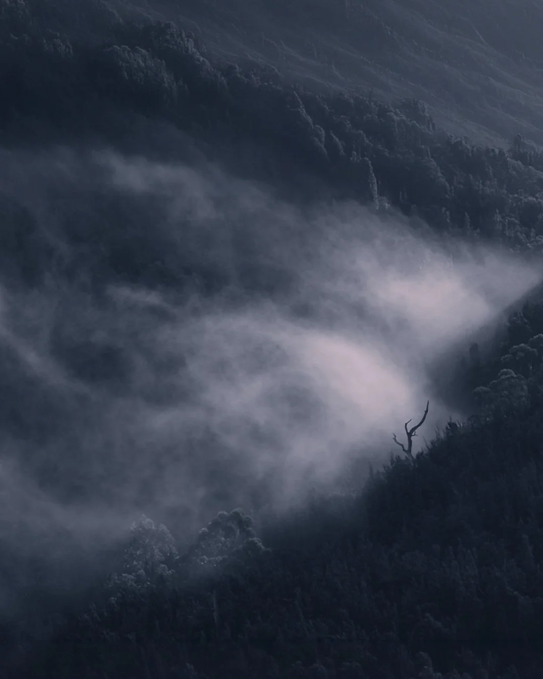 Tasmanian Photography Tours - Southwest Tasmania - Francois Misty Mountains.jpg