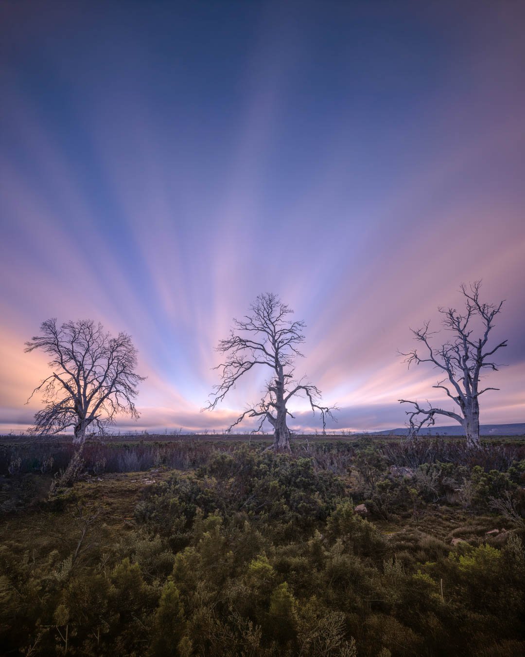 Tasmanian Photography Tours -Miena Cider Gums-Long Exposure 4-5.jpg