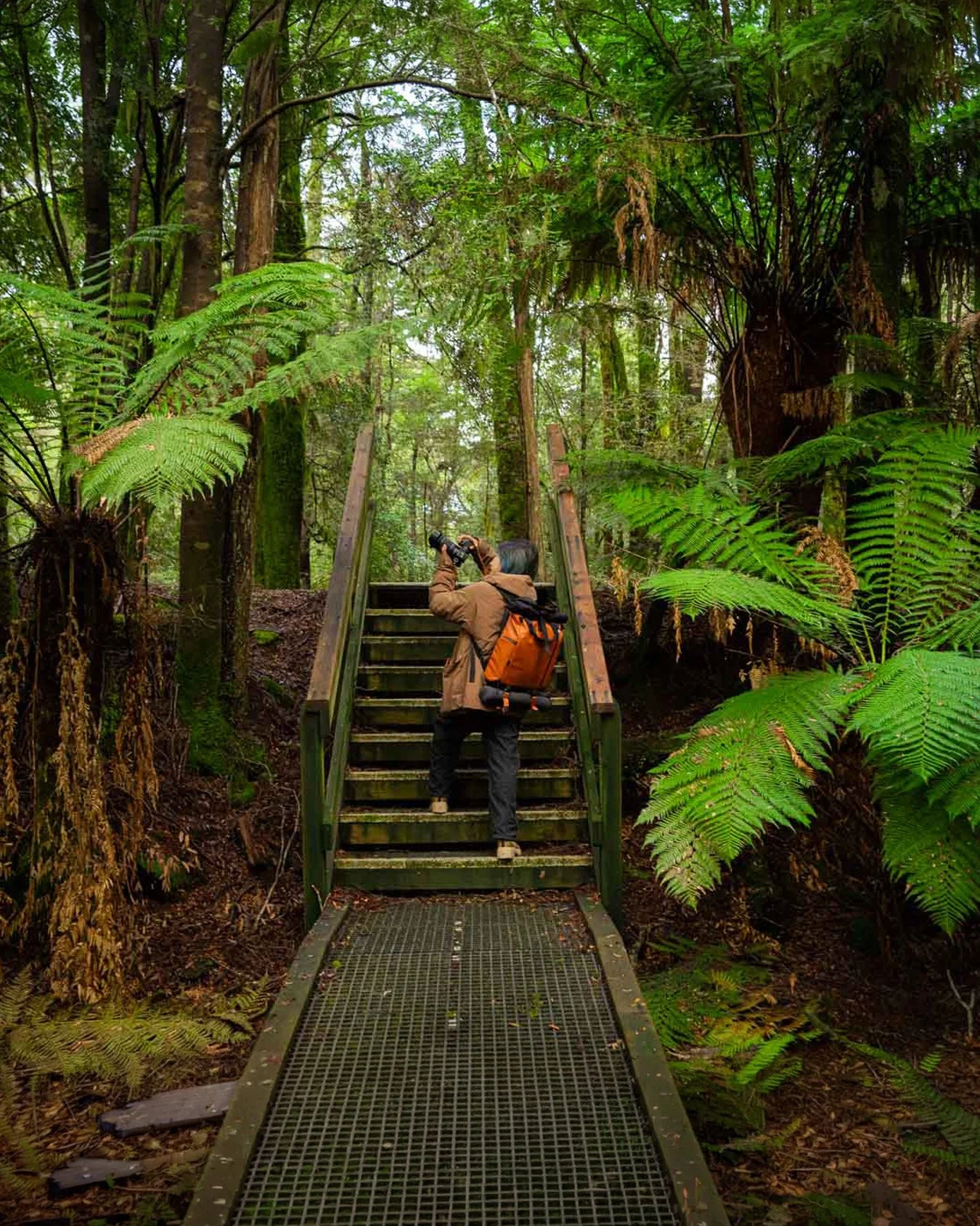 Tasmanian Photography Tours -31.jpg