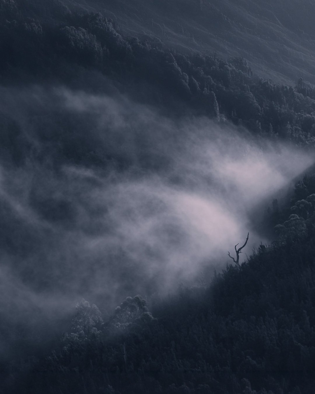 Mist over the mountains of Southwest Tasmania
