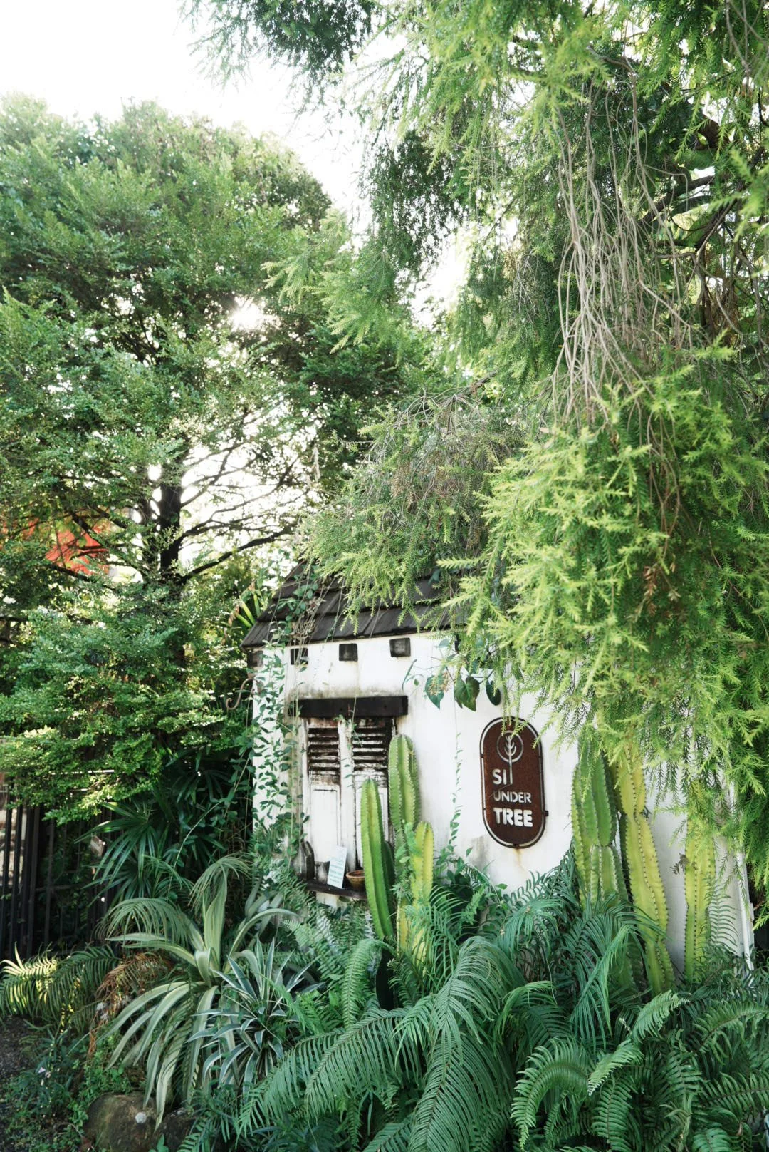 Makin Sausage at Sit Under Tree – a restaurant and retail shop where customers can enjoy meals and buy homemade sausages in Thailand.