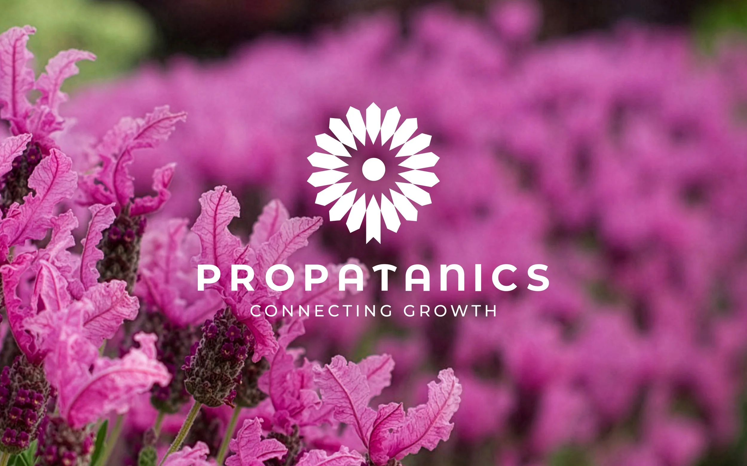 Propatanics logo and Connecting Growth tagline over pink flowering plants.