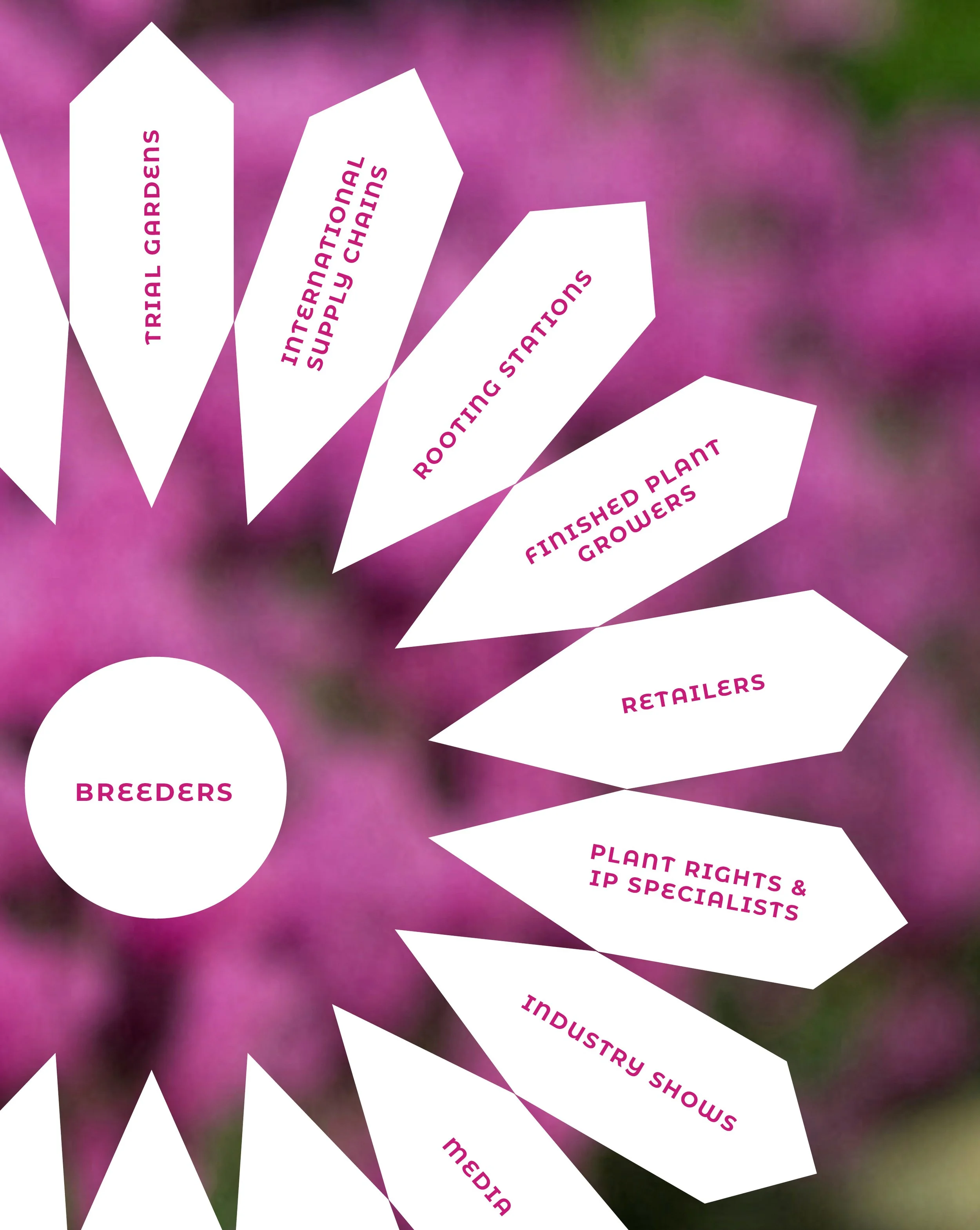Propatanics network connecting plant breeders with trial gardens, supply chains, rooting stations, growers, retailers, plant rights specialists and industry partners.