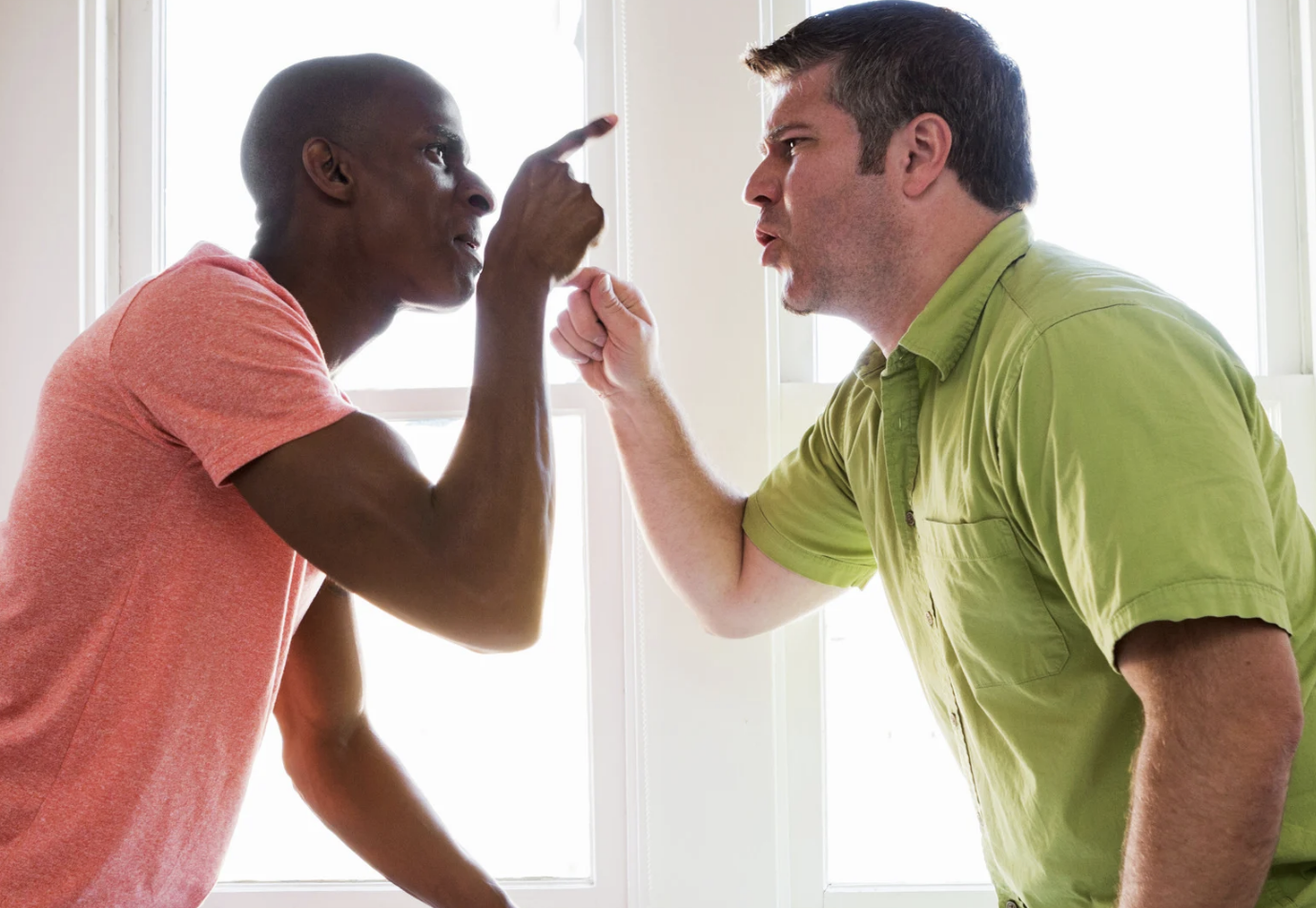 An argument between a Black man in a pink shirt and a White man in a light green shirt, both pointing fingers at each other in a heated exchange.