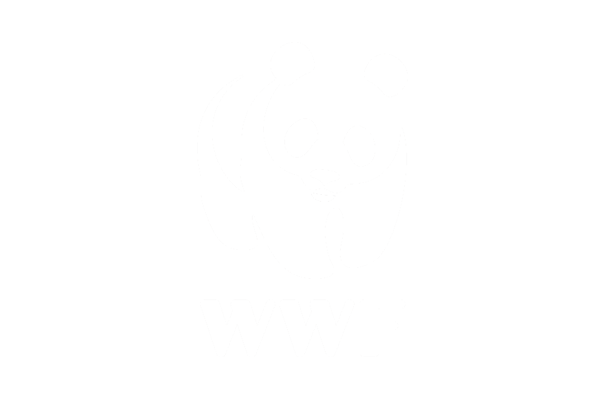 White logo of an owl with the text 'I C STUDI ' and a website link beneath.