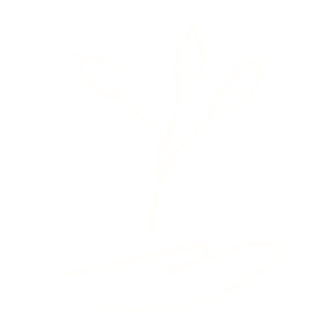White chalk drawing of a hand holding a small plant with three leaves against a black background.