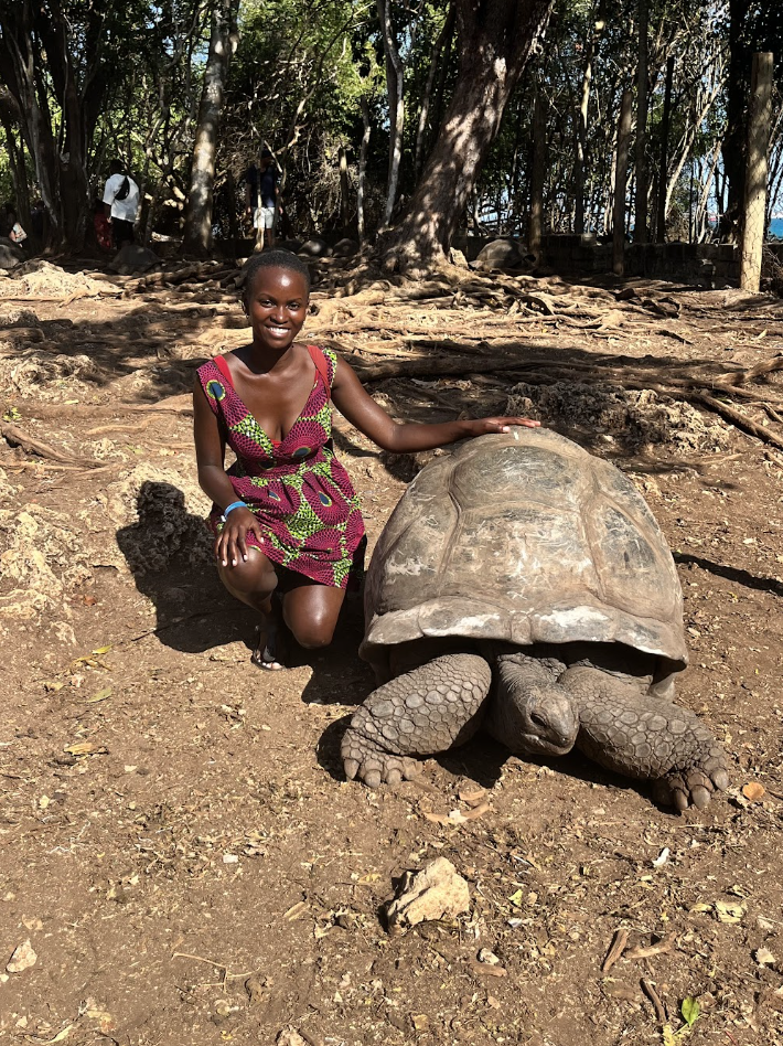 A young woman in a colorful dress kneels next to a large tortoise in a wooded area.