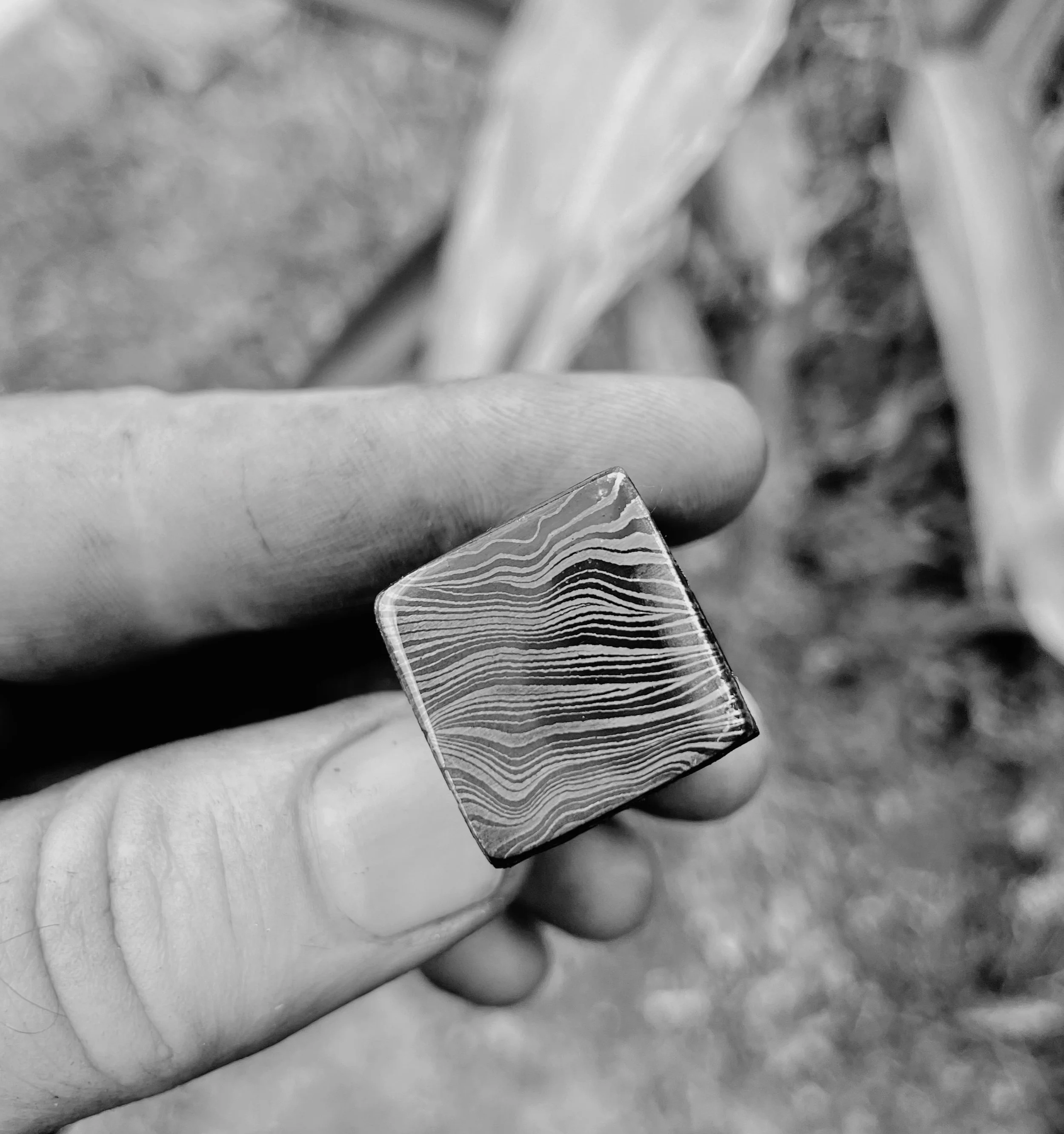 Close-up of a person's hand holding a cross section of hand forged damascus, with natural background.