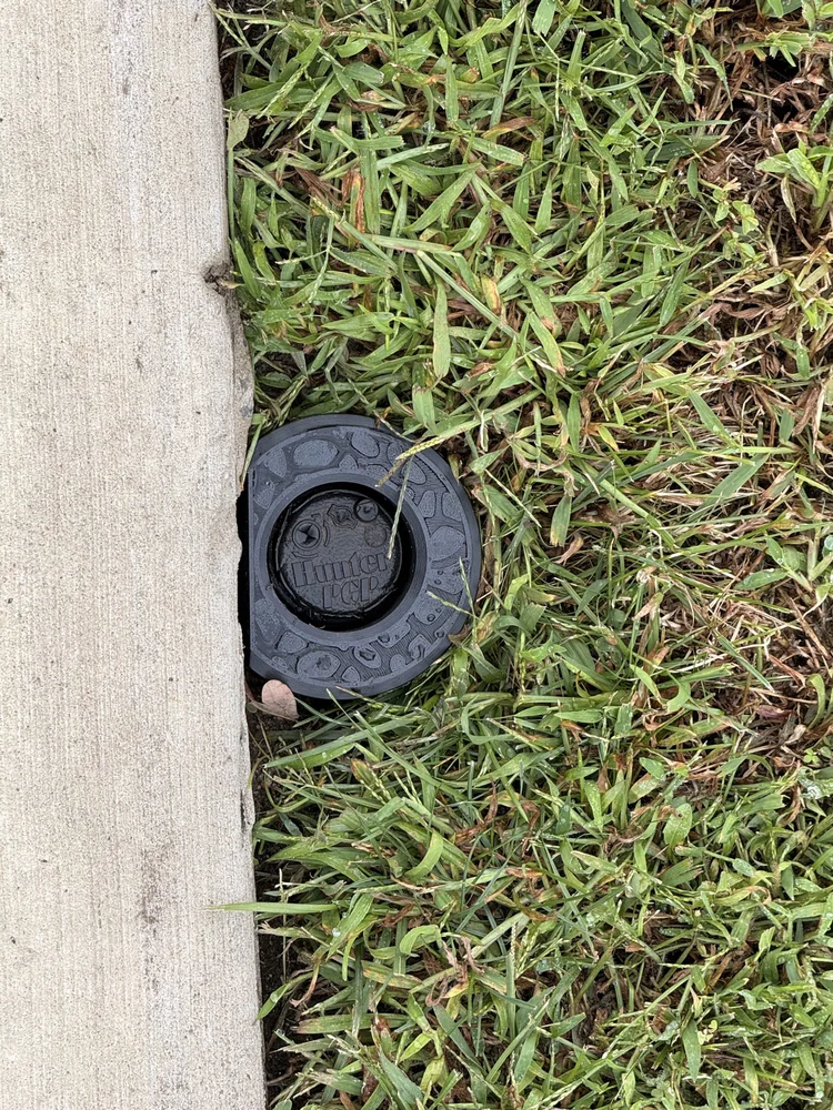 Black Edge Guard installed beside a straight concrete border.