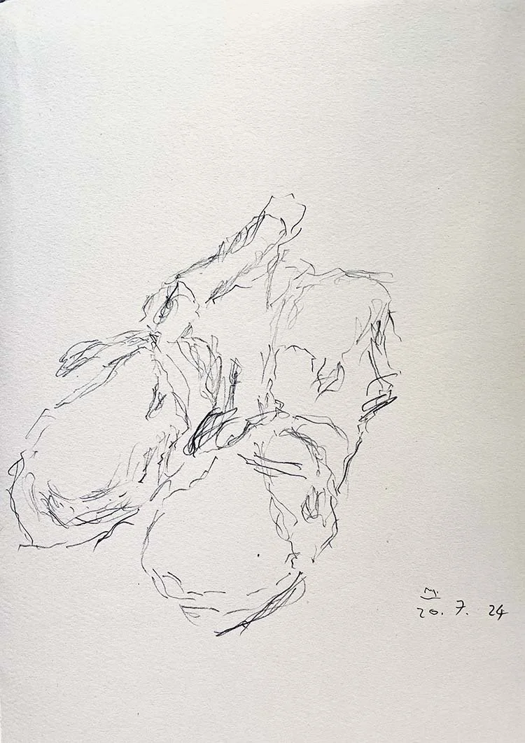 My pair of shoes, ink drawing, 15 x 20 cm