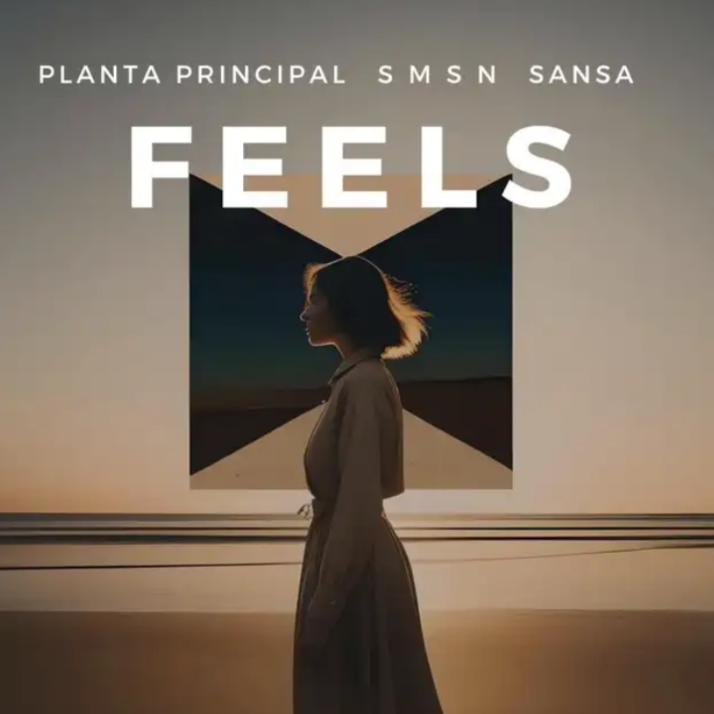 Planta Principal - Feels ( 2024)
