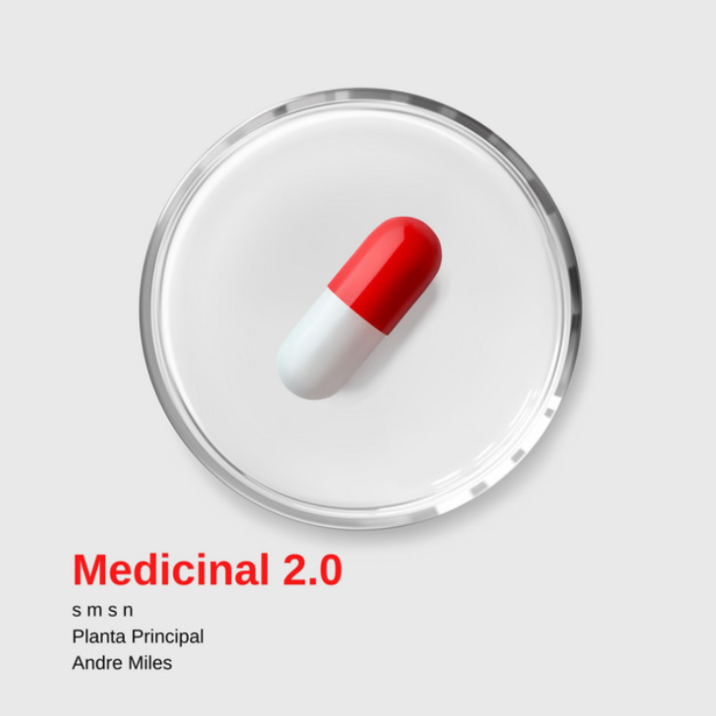 Planta Principal - Medicinal (2026)