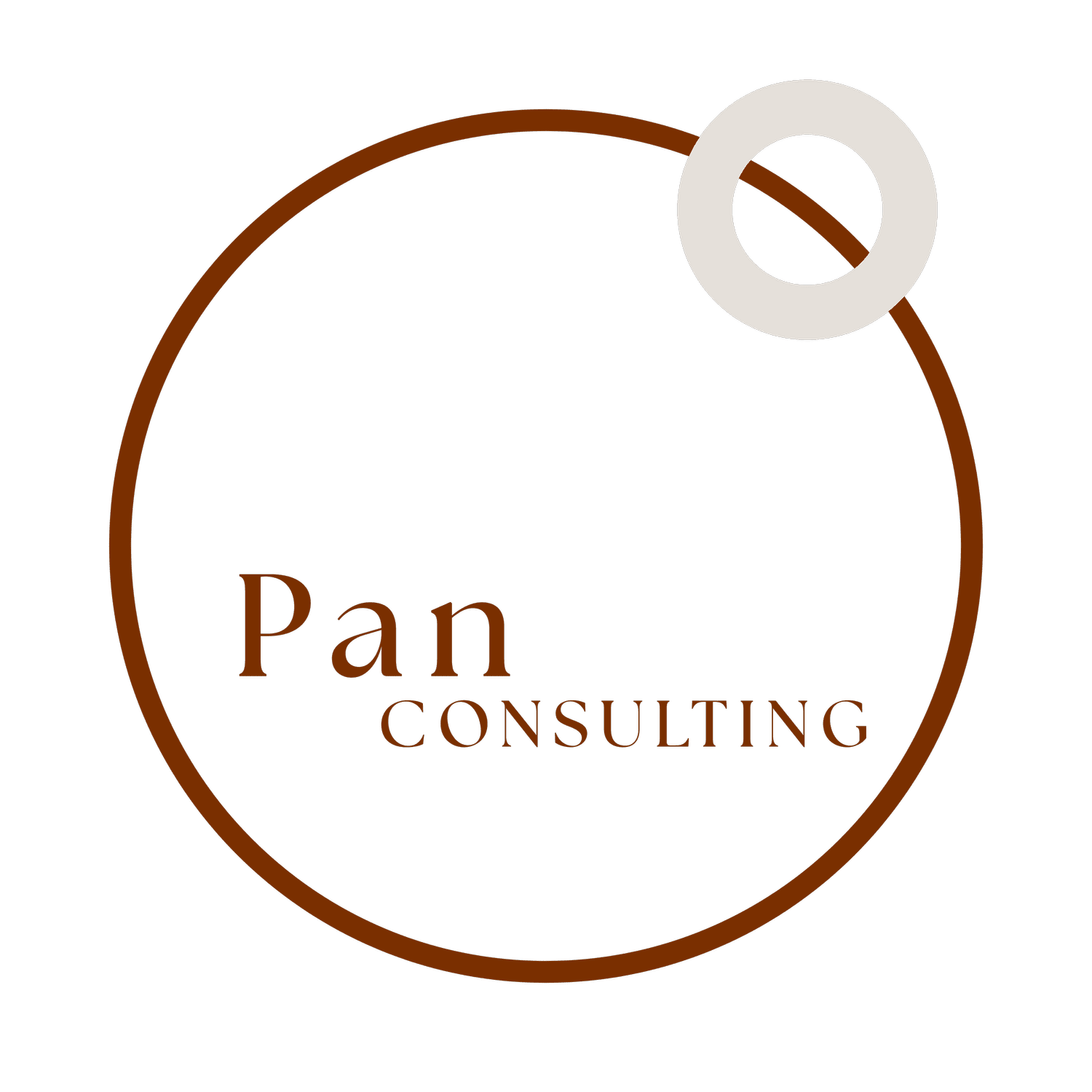 Pan Consulting