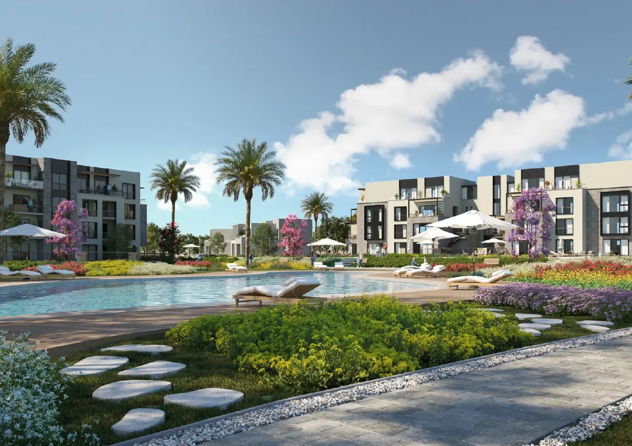25 (1).webp