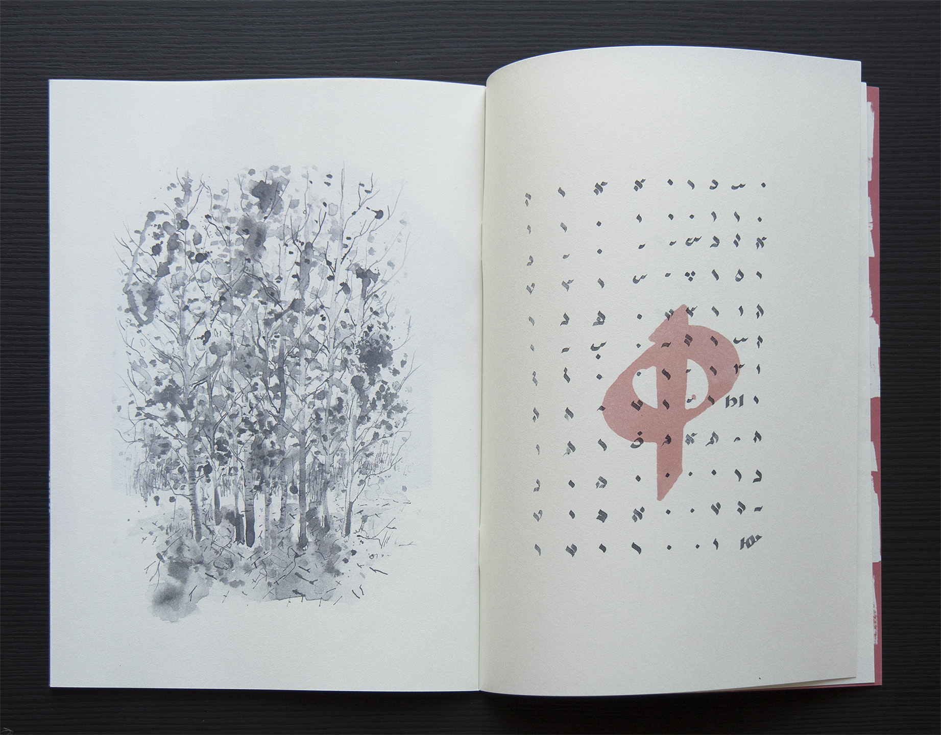 Forest with no names (Copy) (Copy) (Copy)
