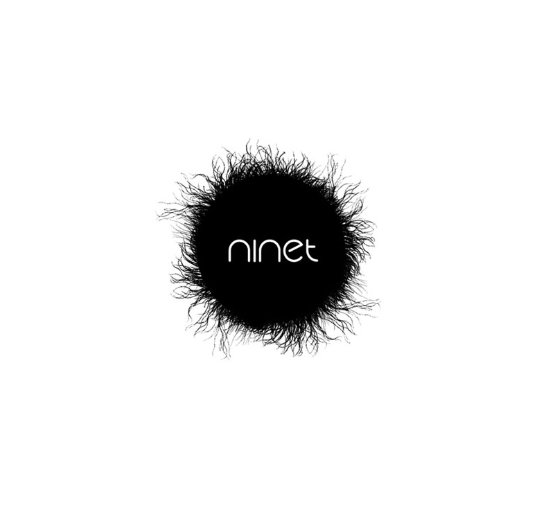 Ninet Tayeb. Visual identity, print, and web design for a musician. 2010.