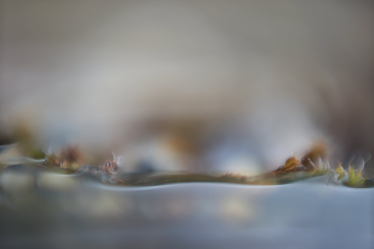 Mouvement d'eau figé. Des plantes aquatiques naturelles ou en plastique émergent sur la rive.