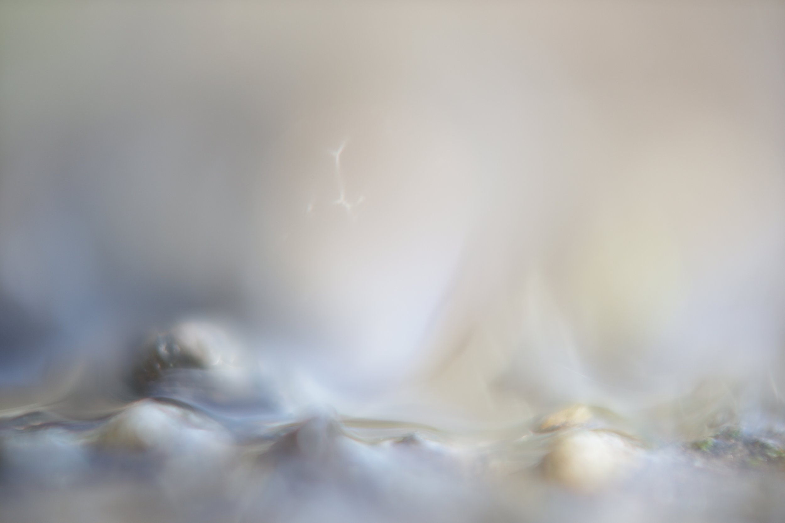 Des perles de nacre incandescentes dans une lumière très vive. profondeur de champs très fine. 