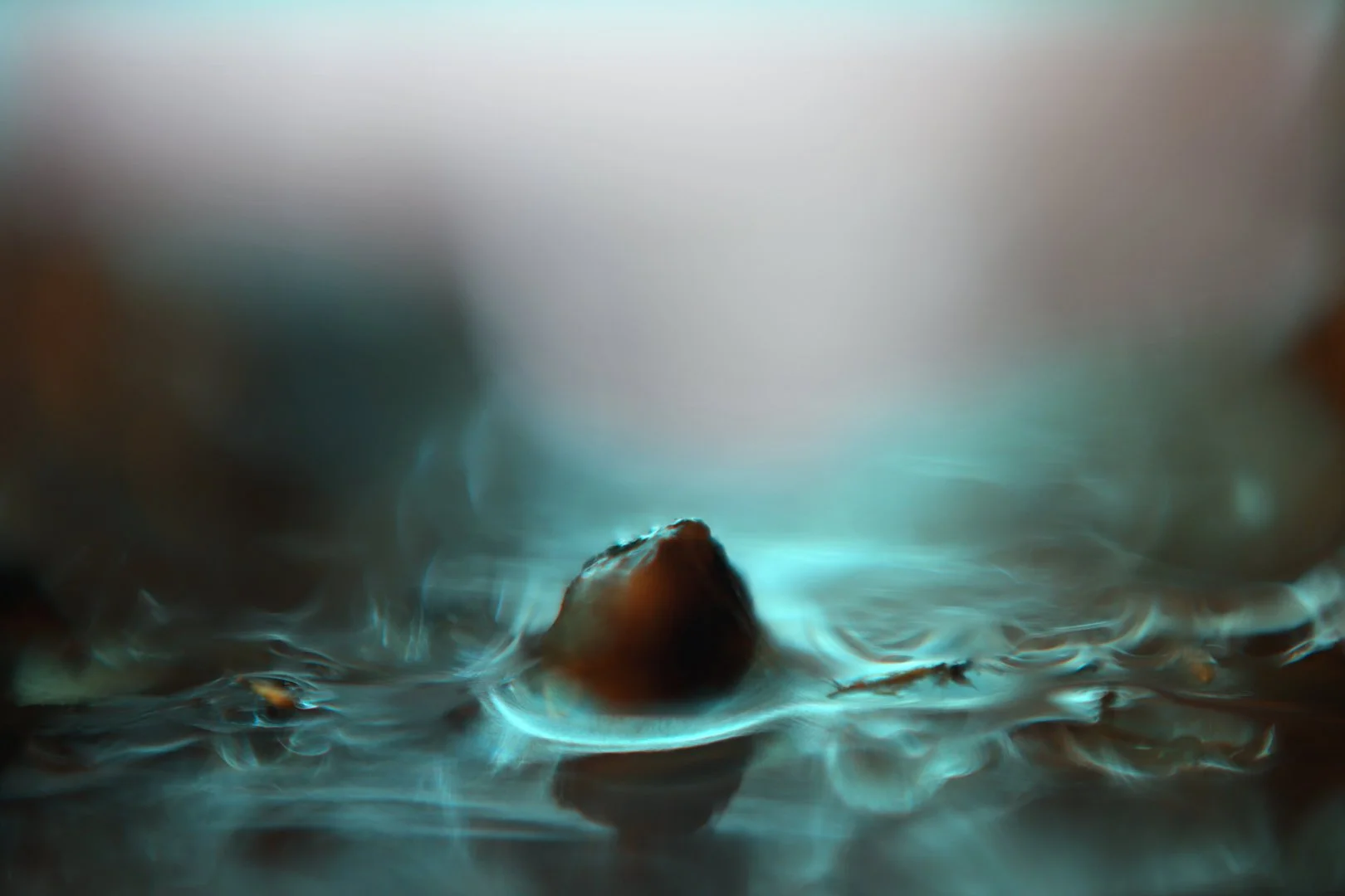 IMG_0746 R01 zzz.jpg