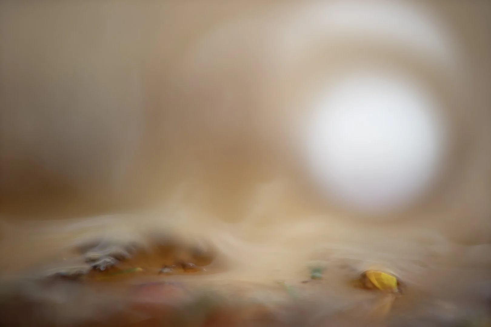Lumière circulaire qui projette une lumière tamisée laissant apparaître un rocher émergeant et des débris organiques d'un liquide crémeux.