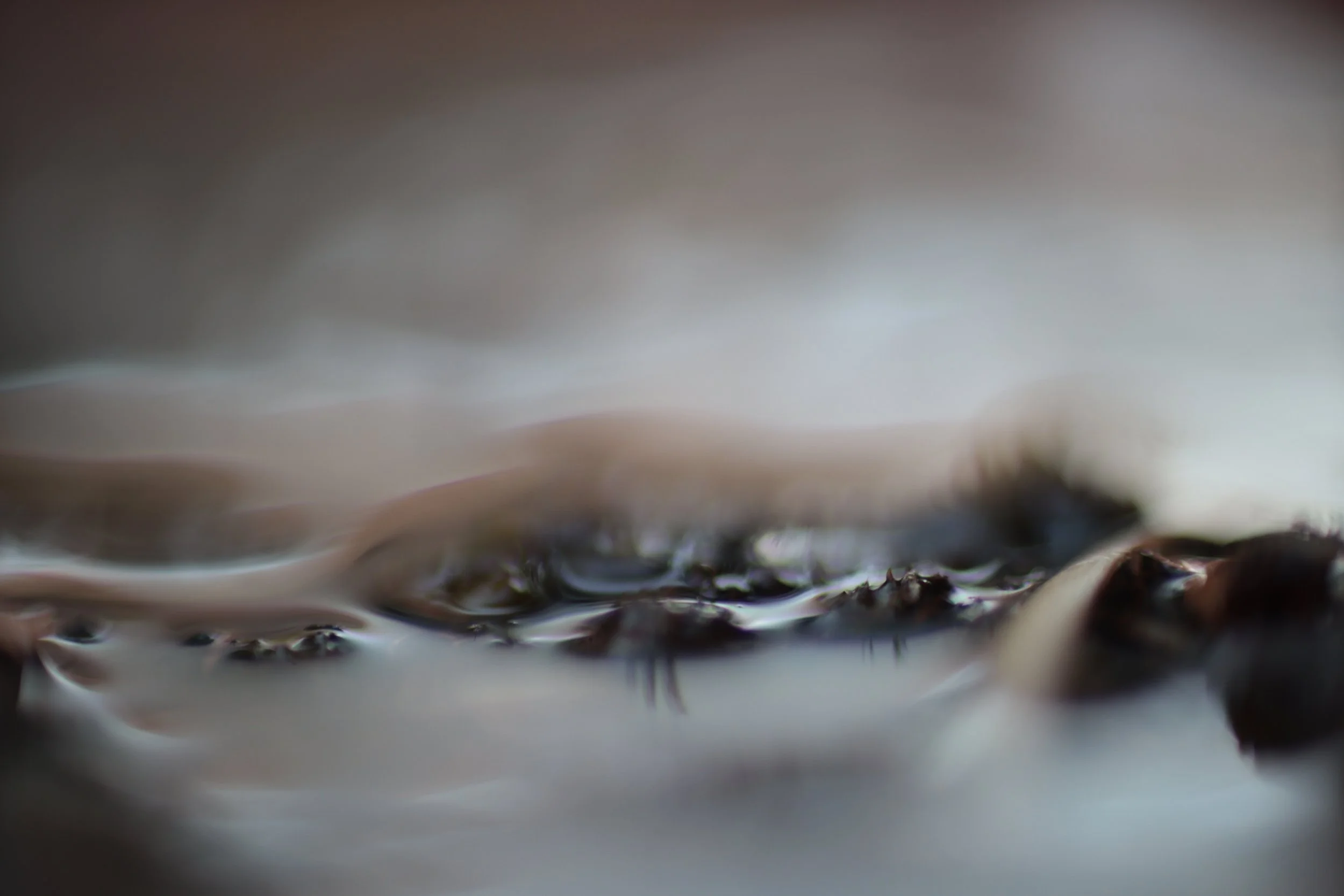 reflets de plantes ou de cils dans dans une matière huileuse.