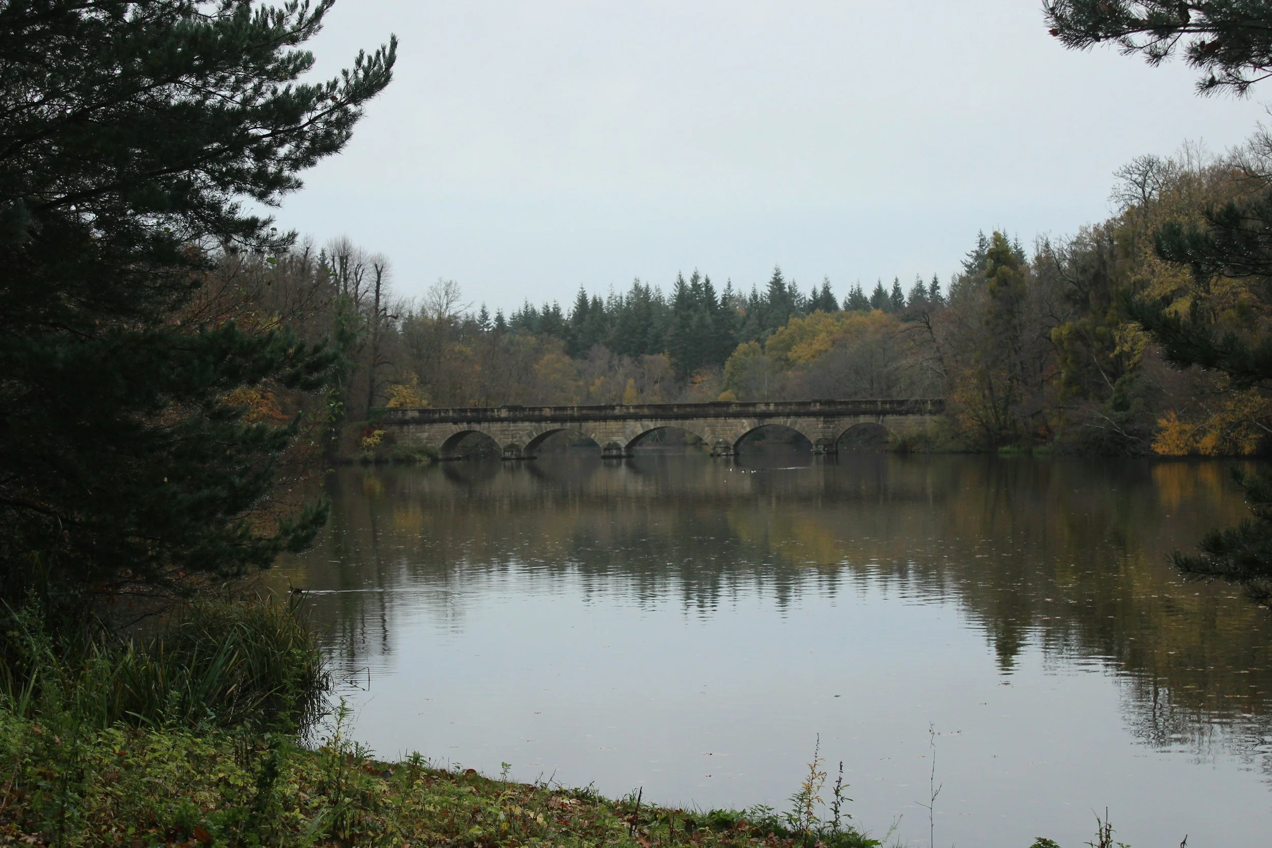surrey river