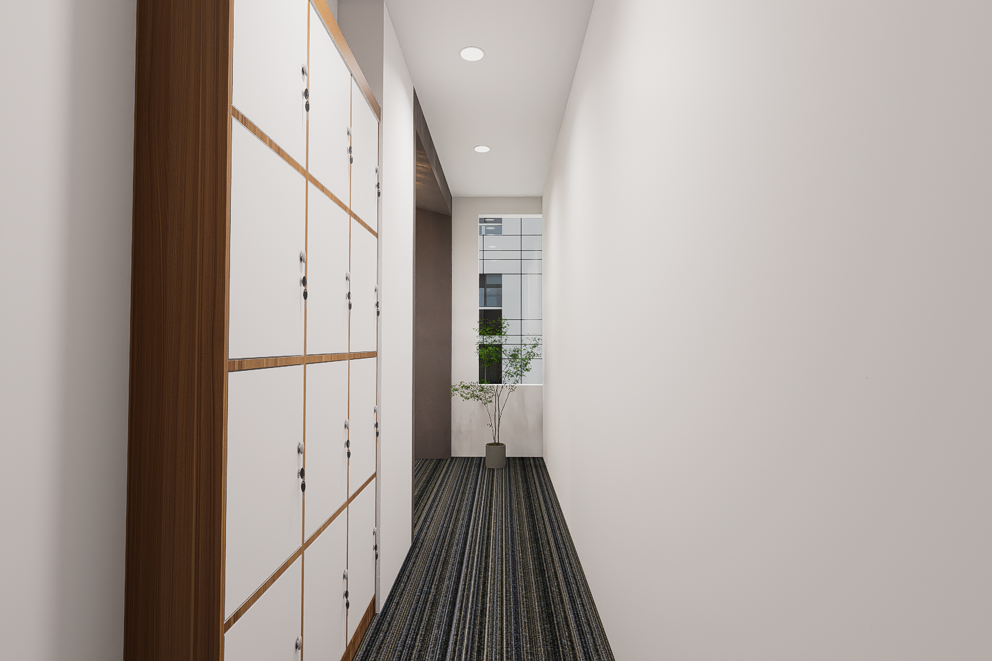 A narrow corridor with a white wall on the right and a row of lockers on the left. A small potted tree is at the end of the hallway near a window that shows the exterior of a modern building.