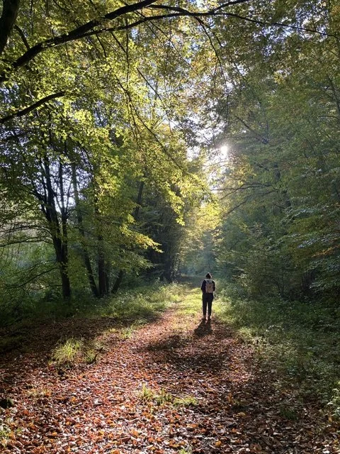 Une personne marche dans un sentier forestier en été, sous un ciel ensoleillé, entourée d'arbres verts. La lumière du soleil filtre à travers les feuilles.