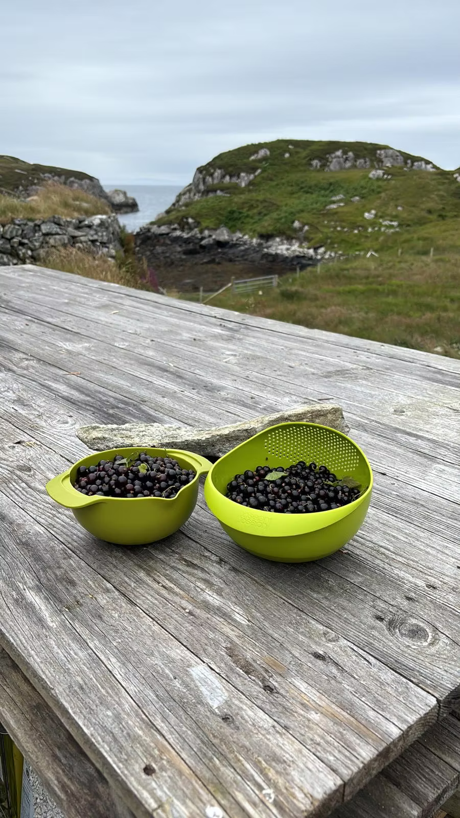 Berries pt 1