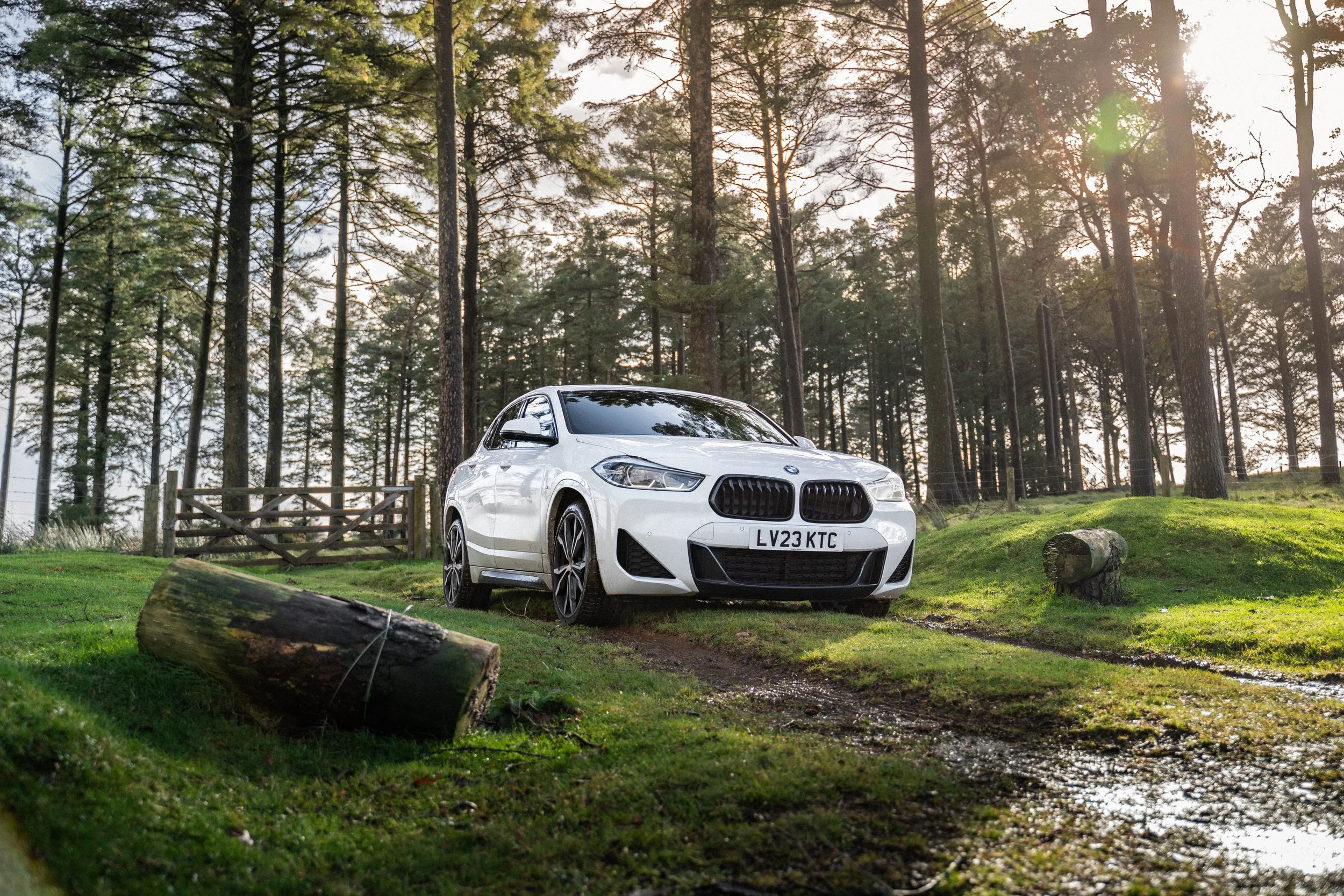 A white BMW car parked on a grassy area surrounded by tall pine trees, with sunlight filtering through the trees, and logs scattered on the ground.