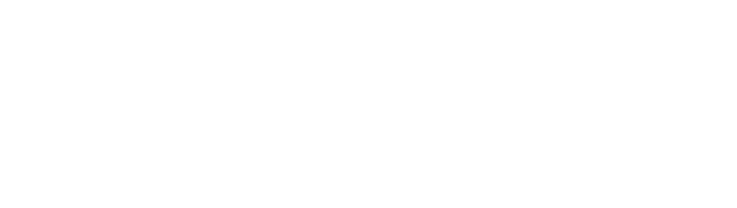 Bold insights