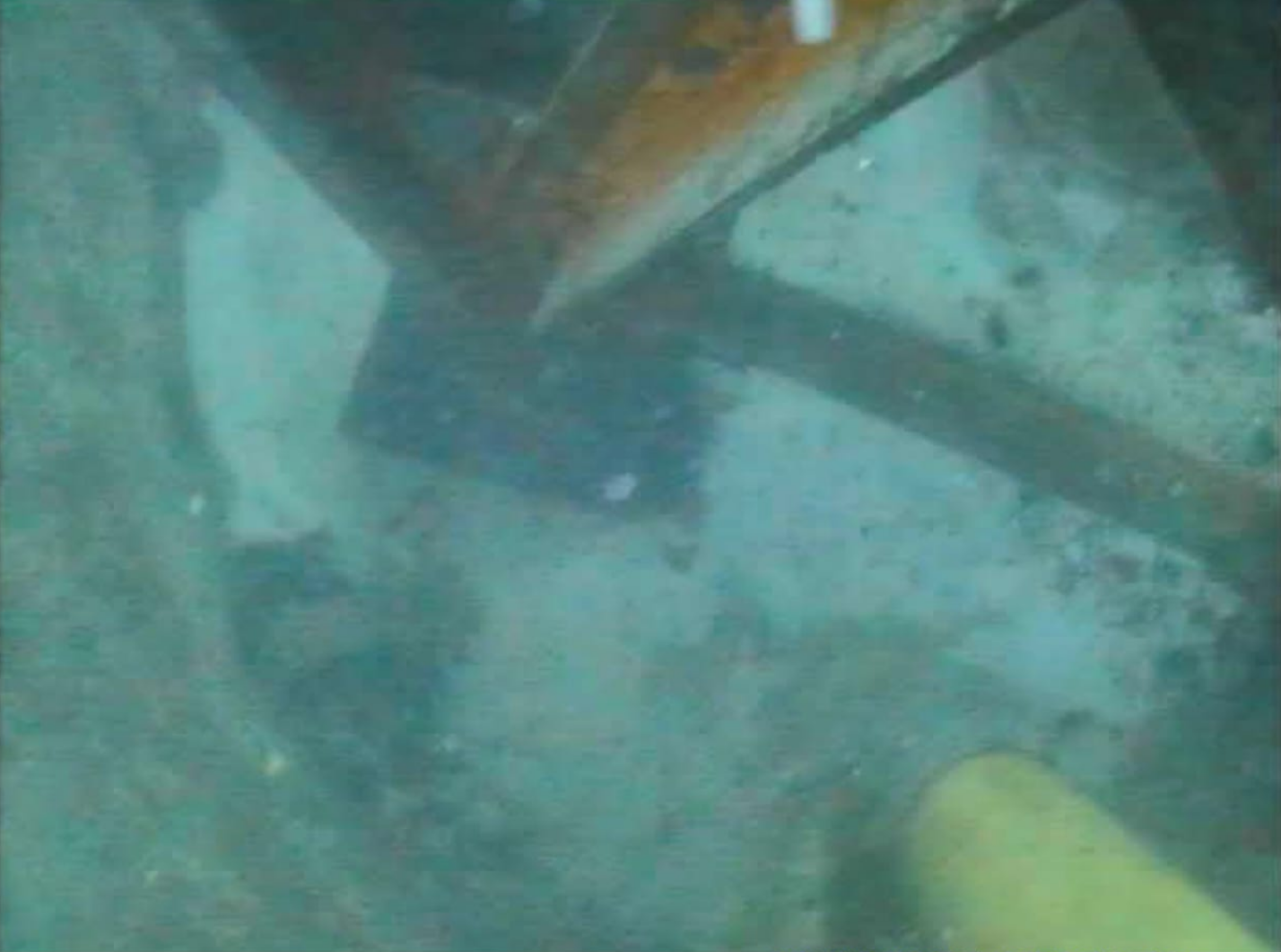 2026_08_30_204504.png