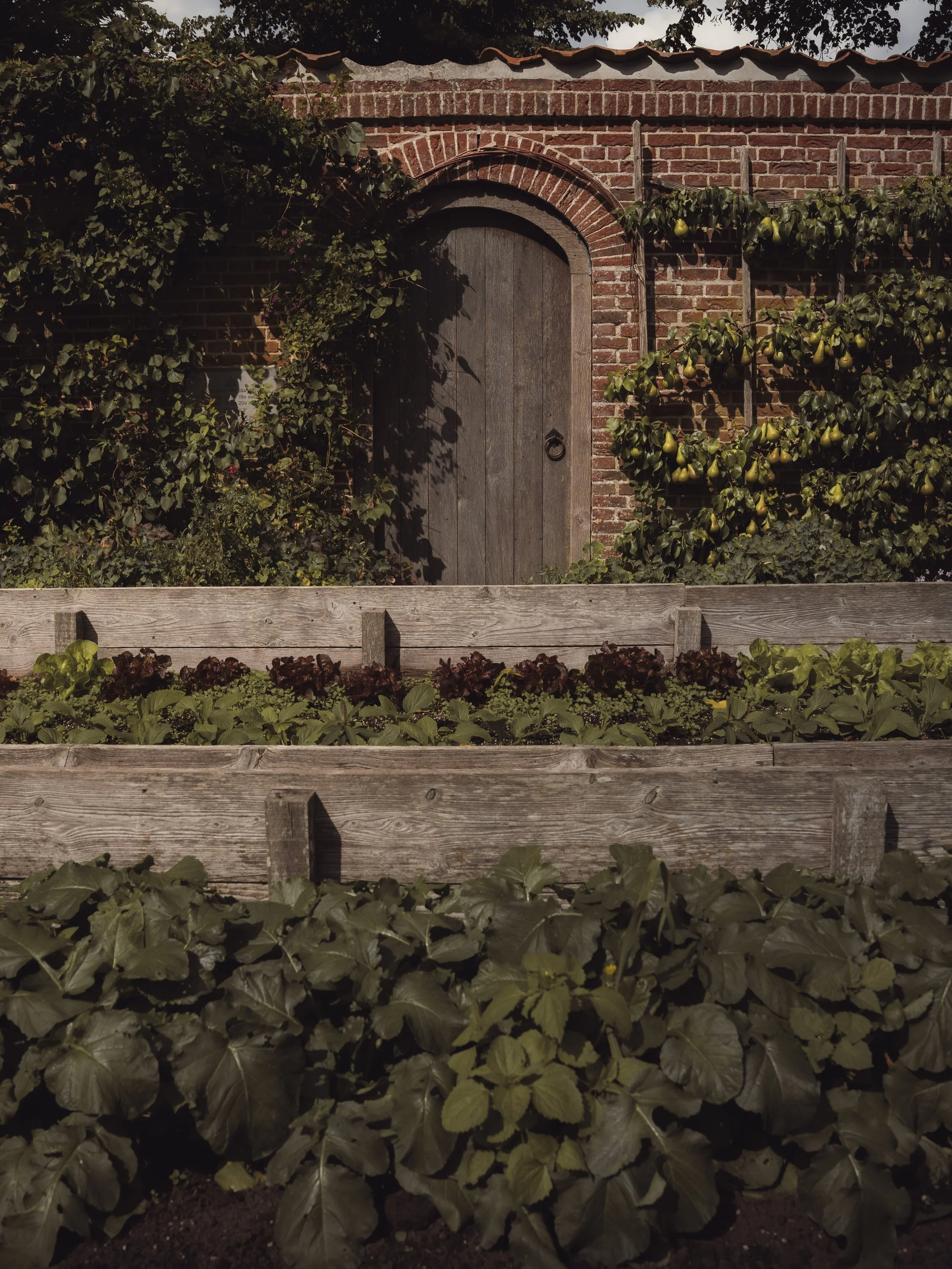 I love the garden at Ewsum. Once, there was a great manor house here. Today, it&rsquo;s hard to imagine what it all must&rsquo;ve looked like. But now that it&rsquo;s no longer overshadowed - literally - the garden gets to woo visitors instead. It do