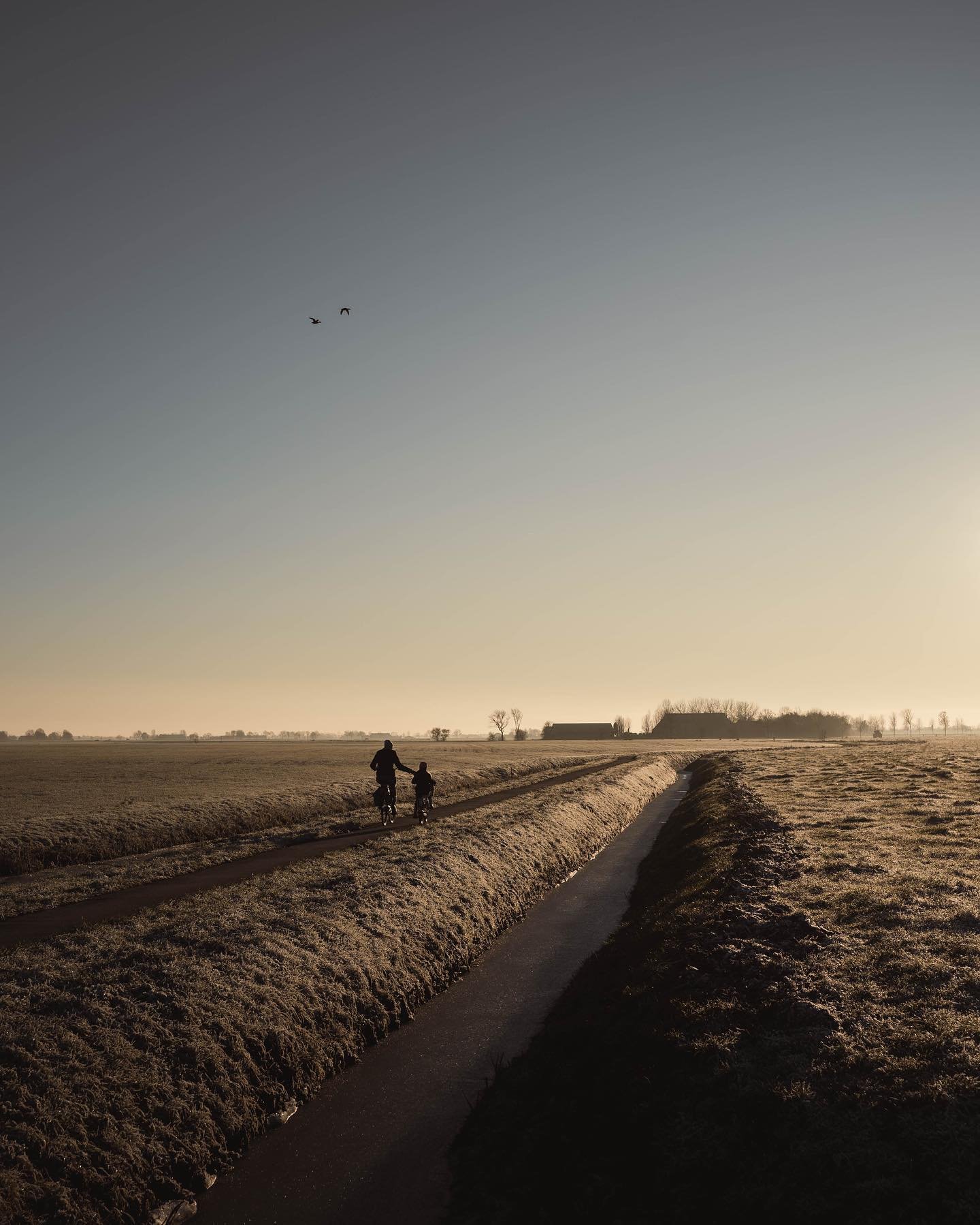 Last winter.
⠀

⠀

⠀
#peaceful #quiet #countrylife #rural #landscape #wilderness #sunset #groningen #netherlands #niehove #cute #simple #countrysideliving #dutchcountryside #bicycles #weroamhome #sony #a7iv #birds #touchinglives 

⠀

⠀