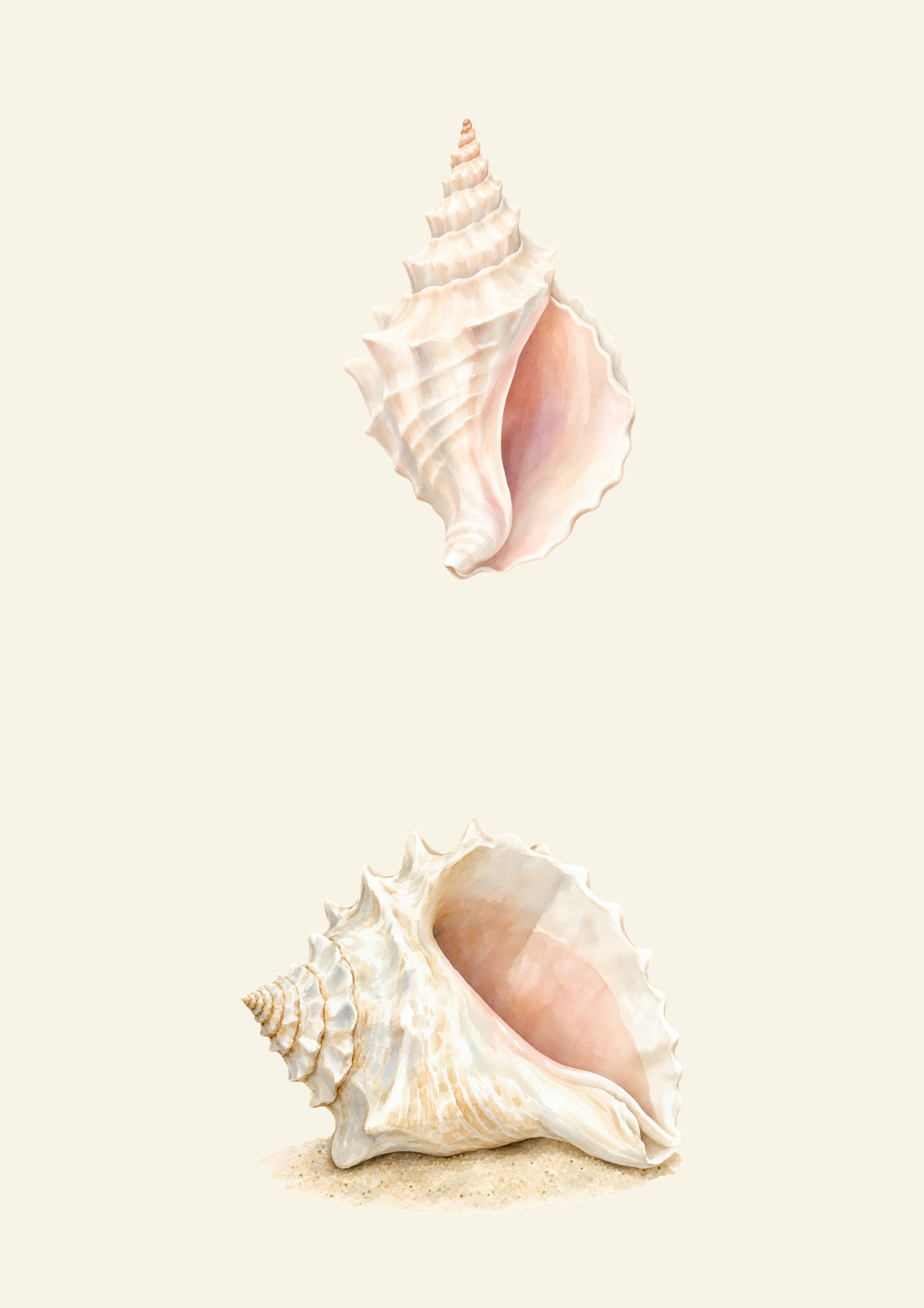 A large conch shell with a pink interior, resting on sand.