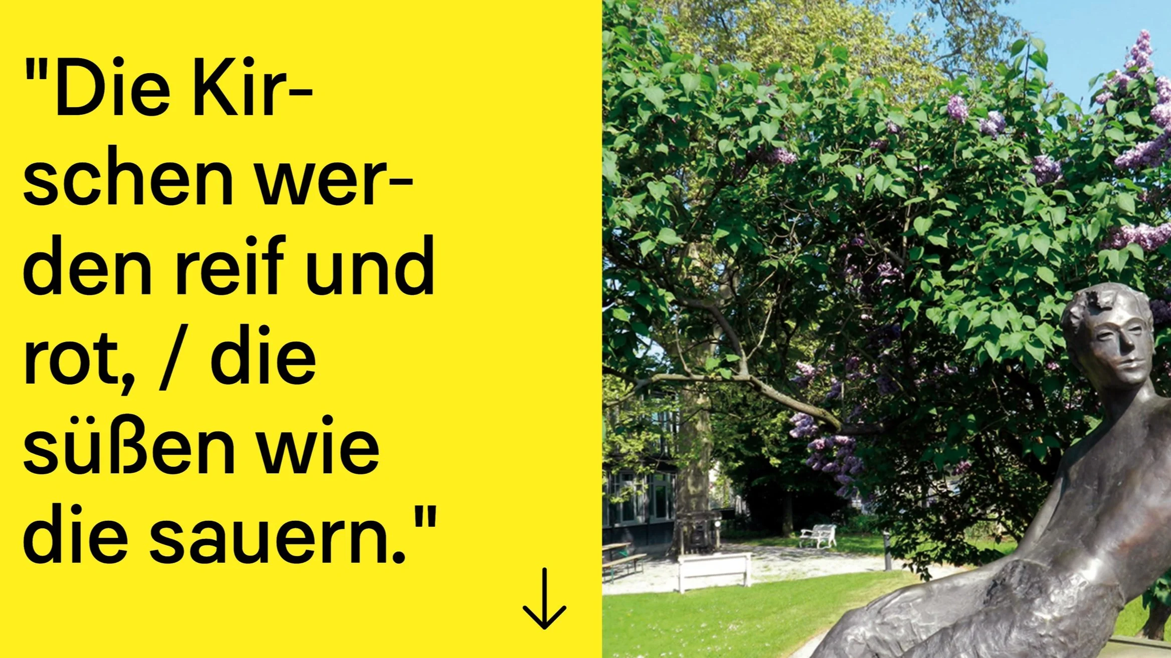 Erich Kästner Haus für Literatur