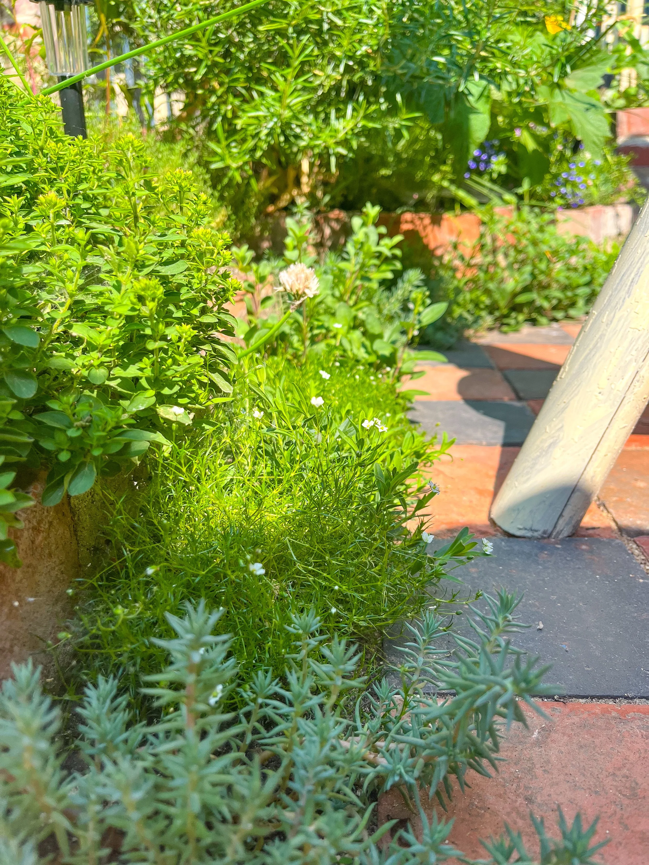 Planting Design