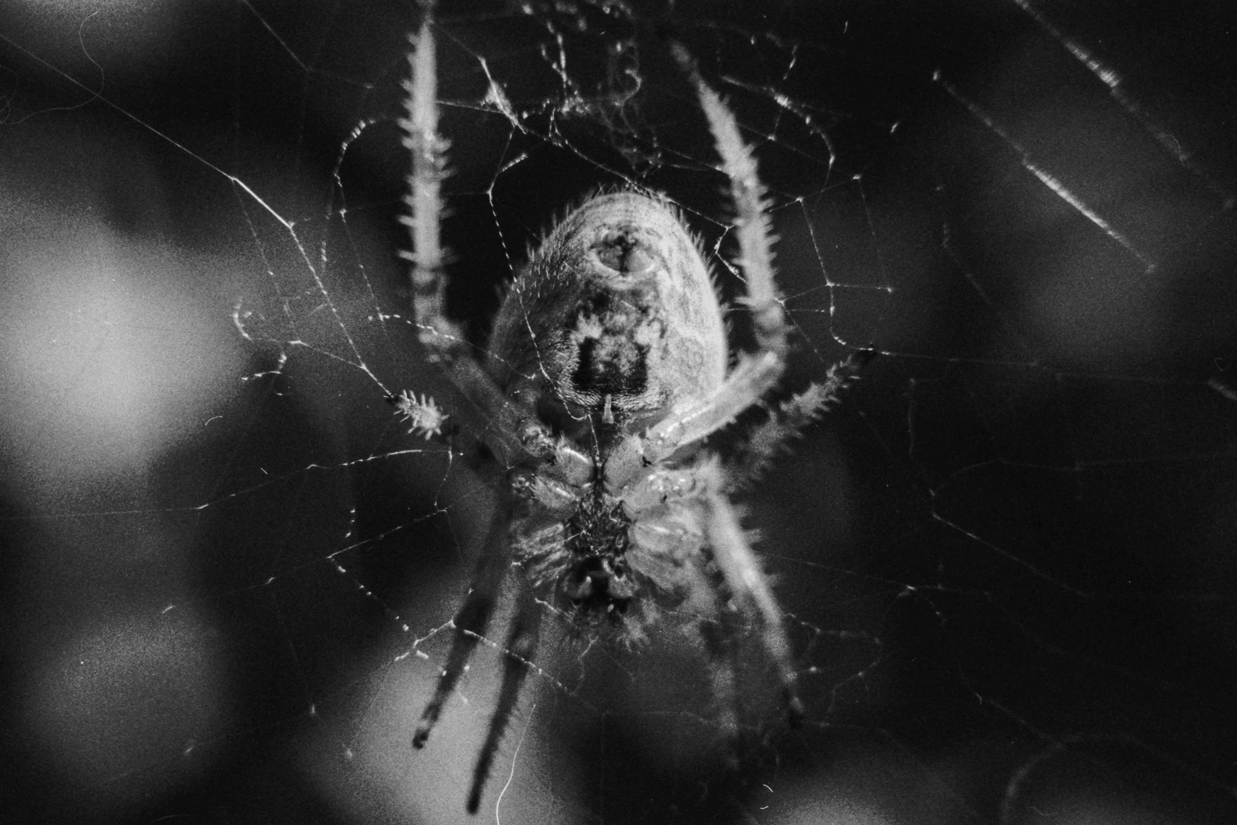B&W Film
