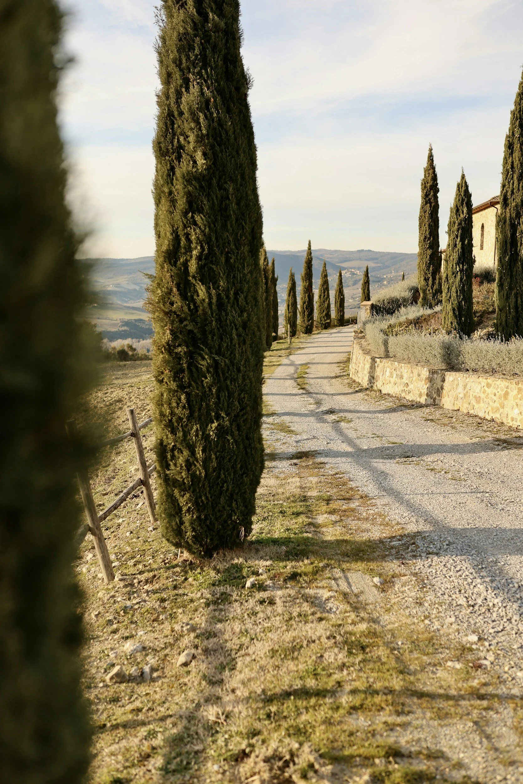 A winding gravel pathway lined with tall cypress trees, with rolling hills and a stone building in the background under a partly cloudy sky.