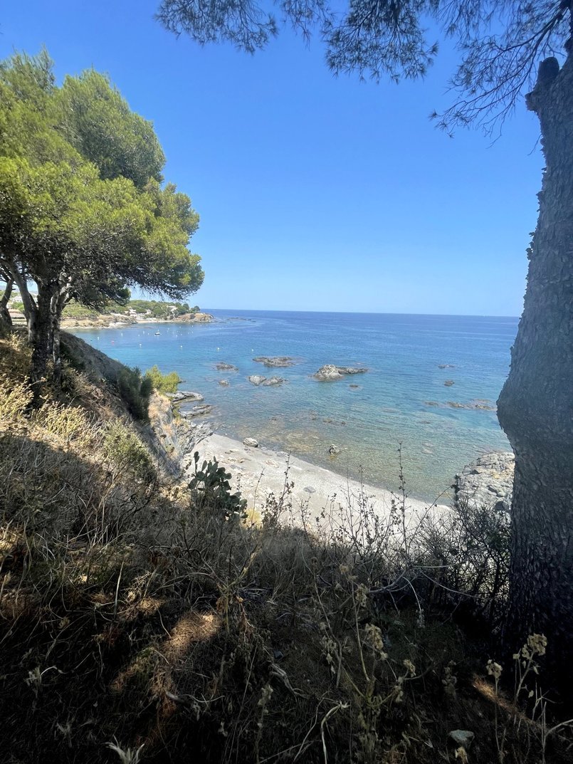 A view of a coastal landscape with trees and shrubs in the foreground, a rocky shoreline, and the blue ocean under a clear blue sky.