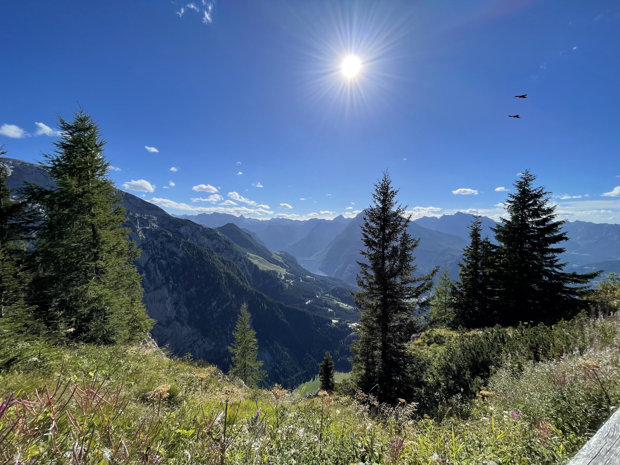 A scenic mountain landscape with tall pine trees in the foreground, mountain peaks in the distance, a river across the valley, and a bright sun in a blue sky with few clouds.