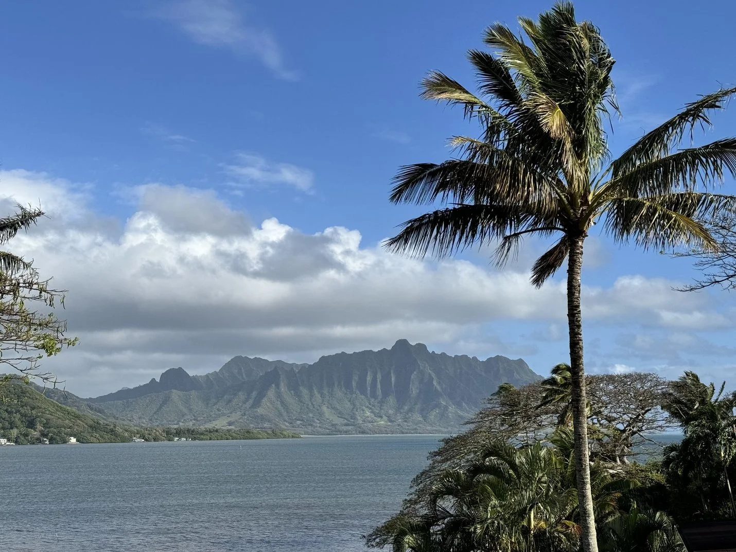 View of a tropical landscape with a large mountain in the background, palm trees in the foreground, a body of water, and a partly cloudy blue sky.