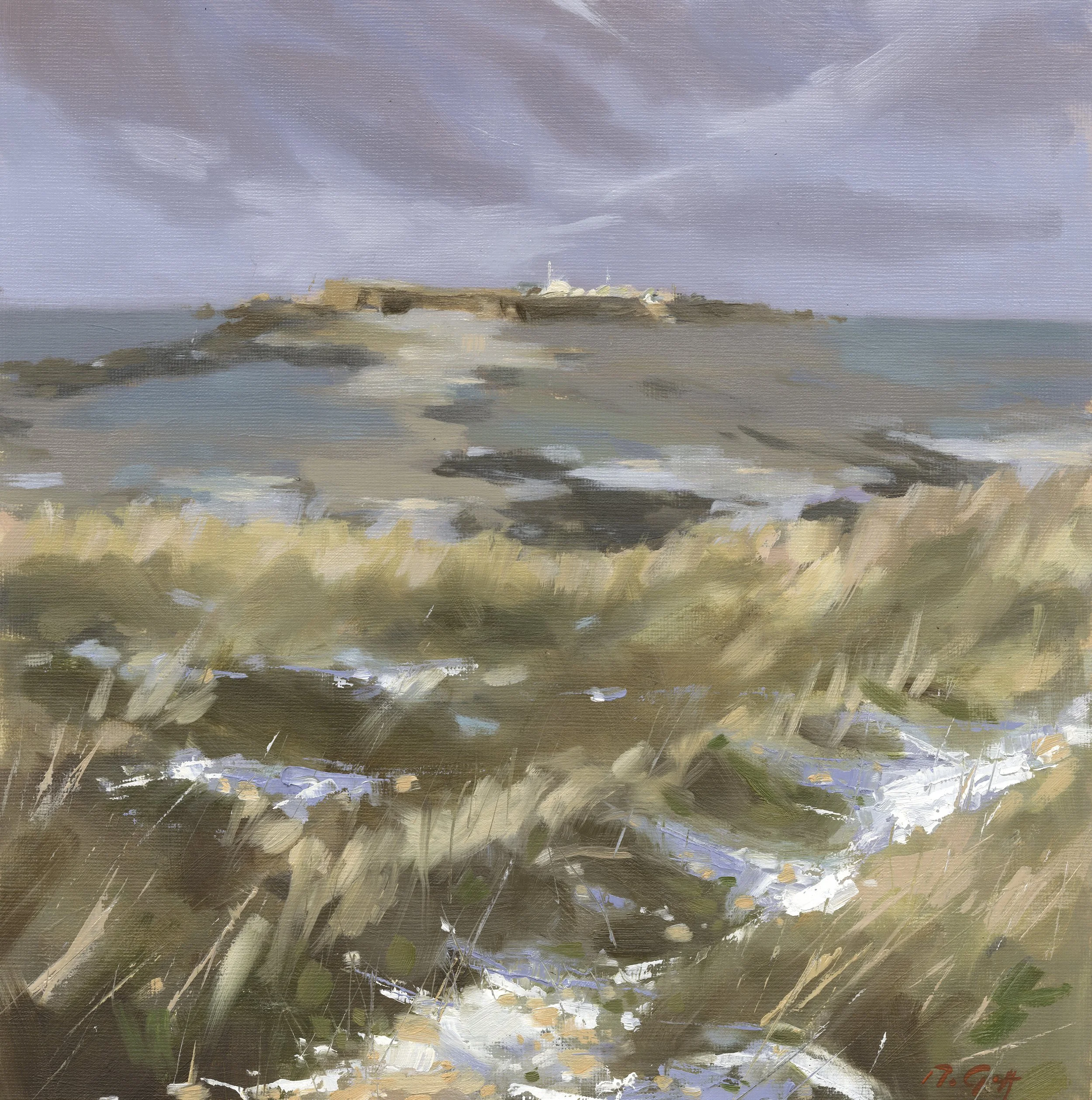 Winter at Hilbre Island