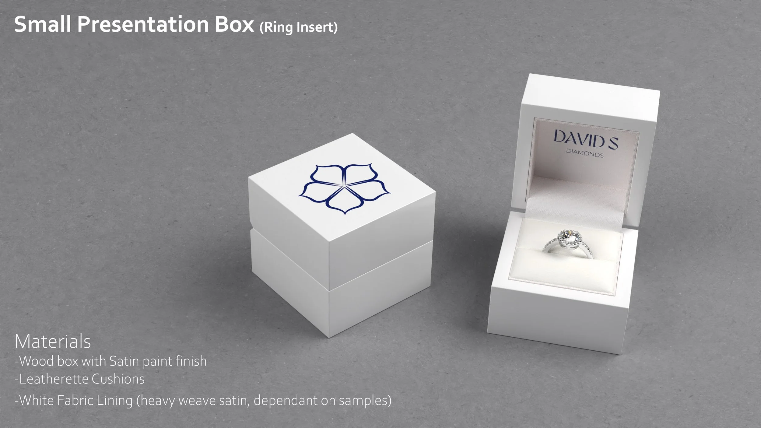 David S_Docs_Pres_00003.jpg