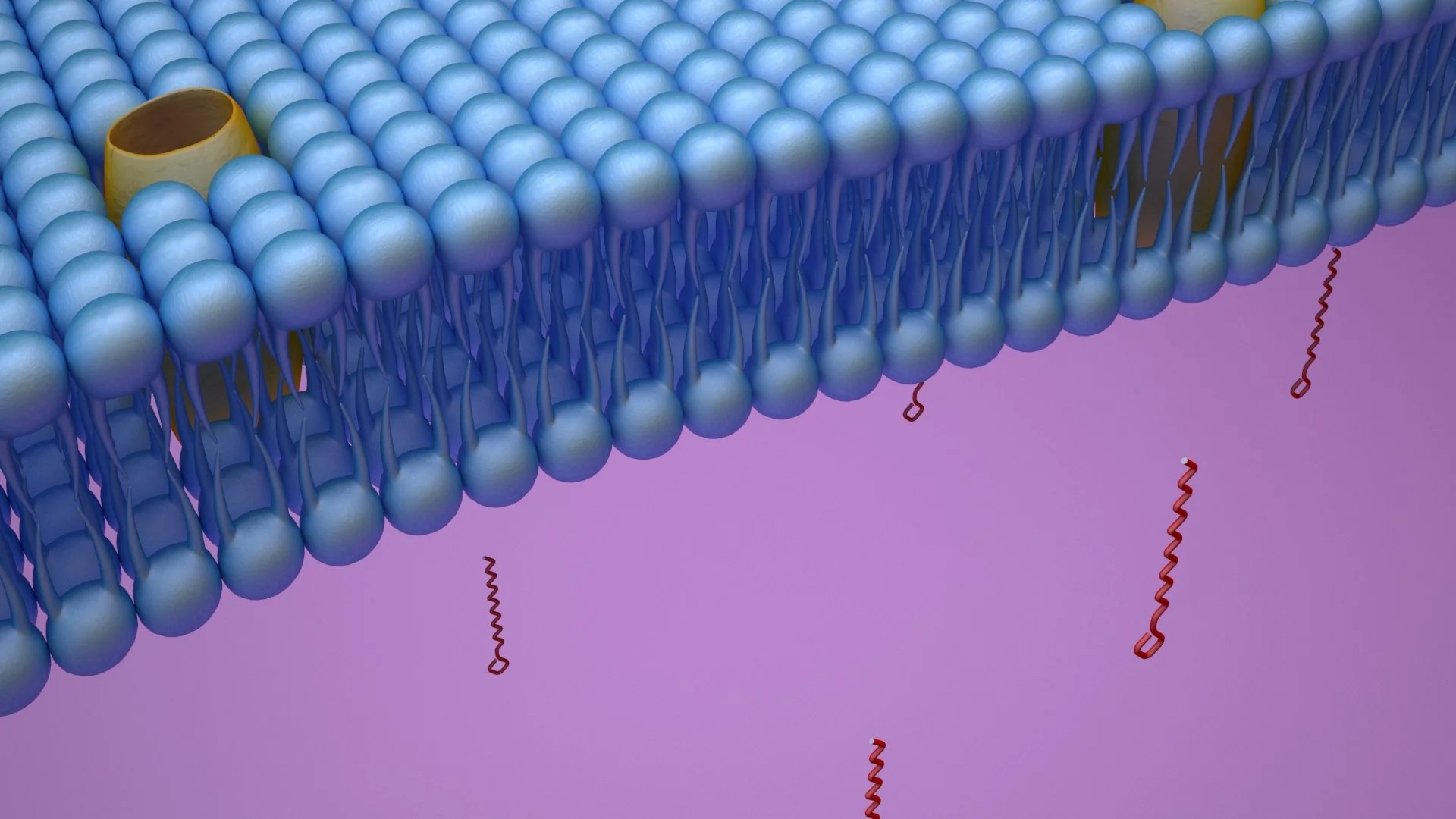 Final Sample_Membrane01_no opacity.jpg