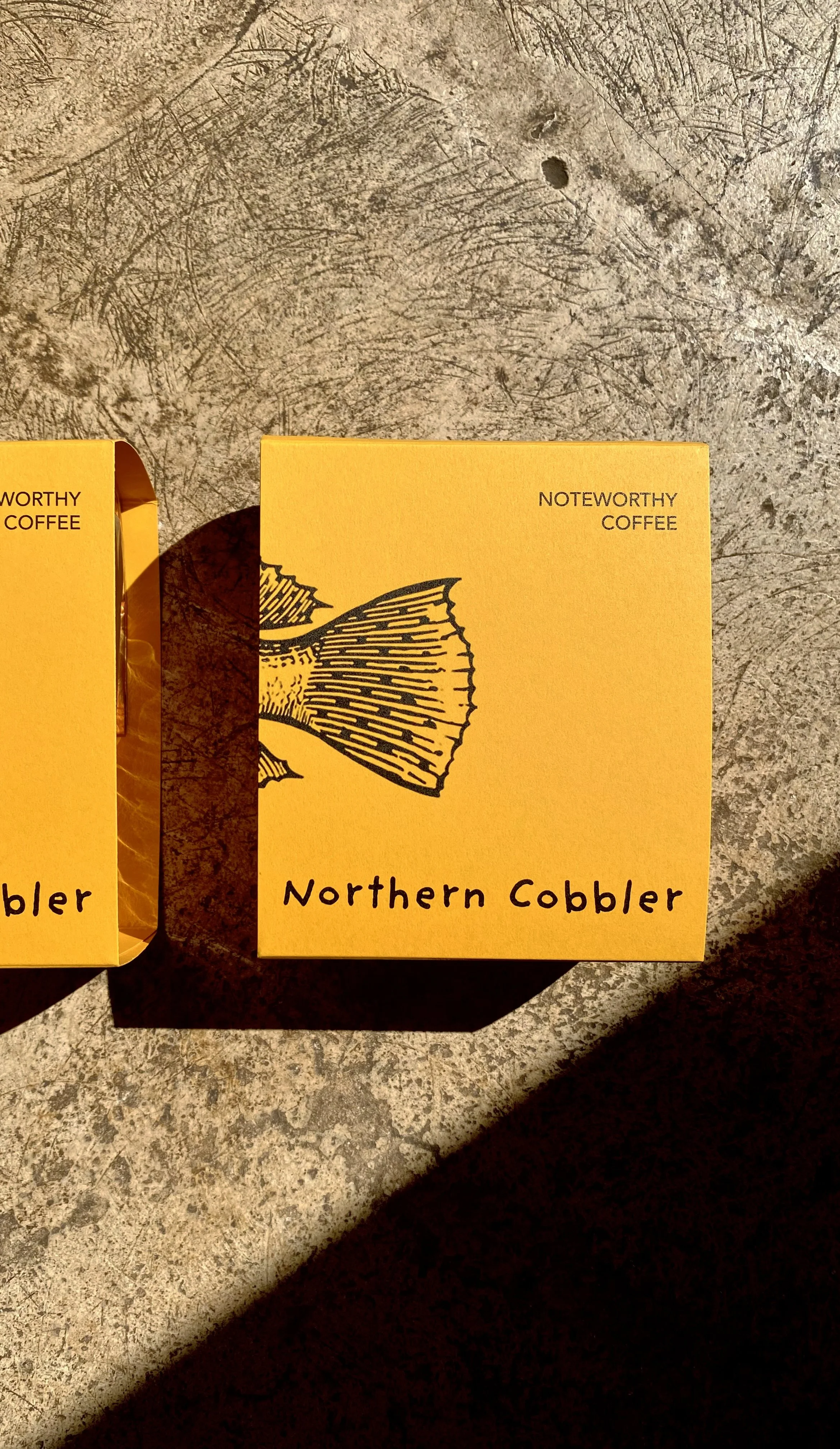 Two yellow packages labeled "Noteworthy Coffee" and "Northern Cobbler" on a textured surface with shadows cast across the packages.